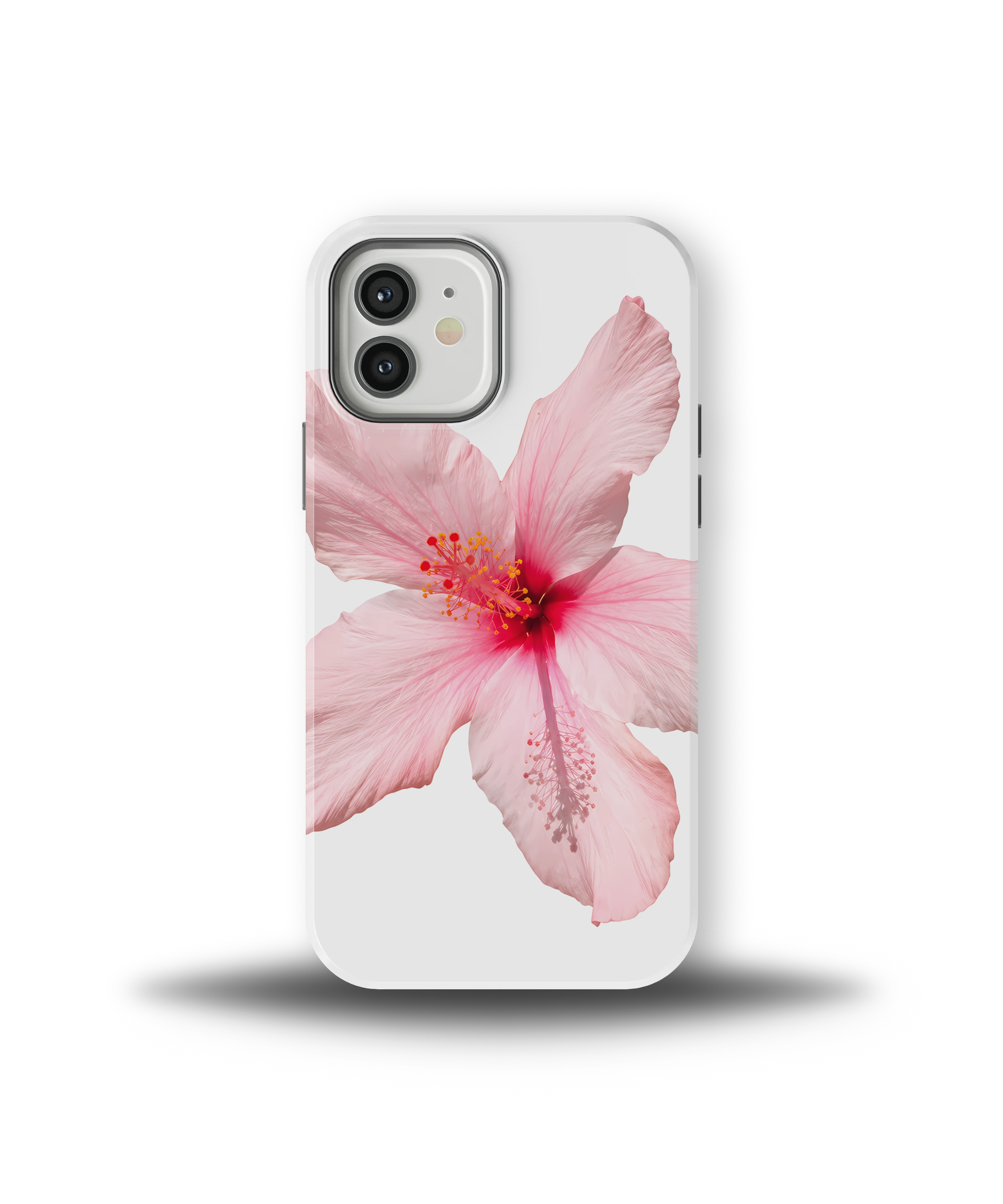 Pink Hibiscus