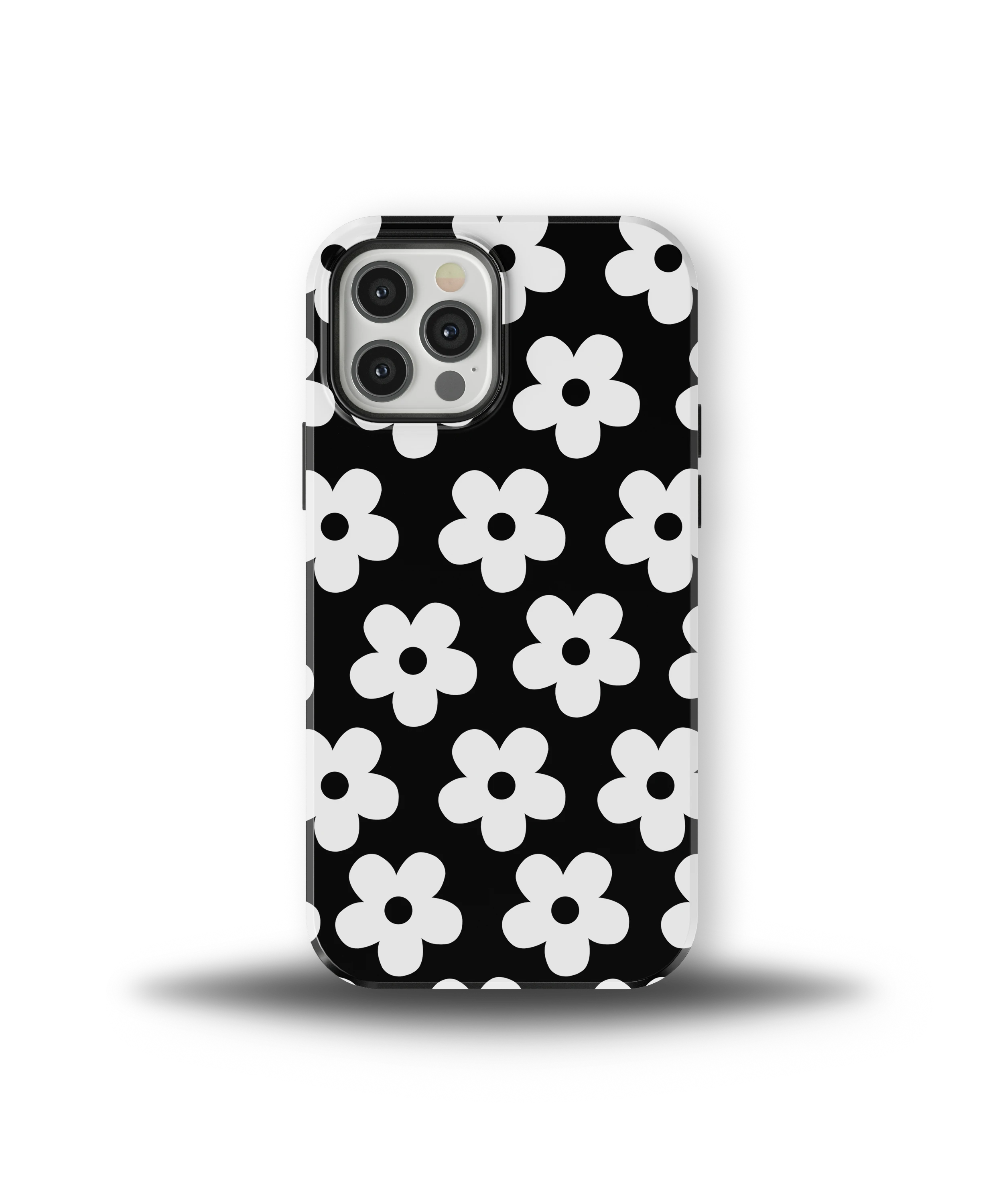 Noir Daisy