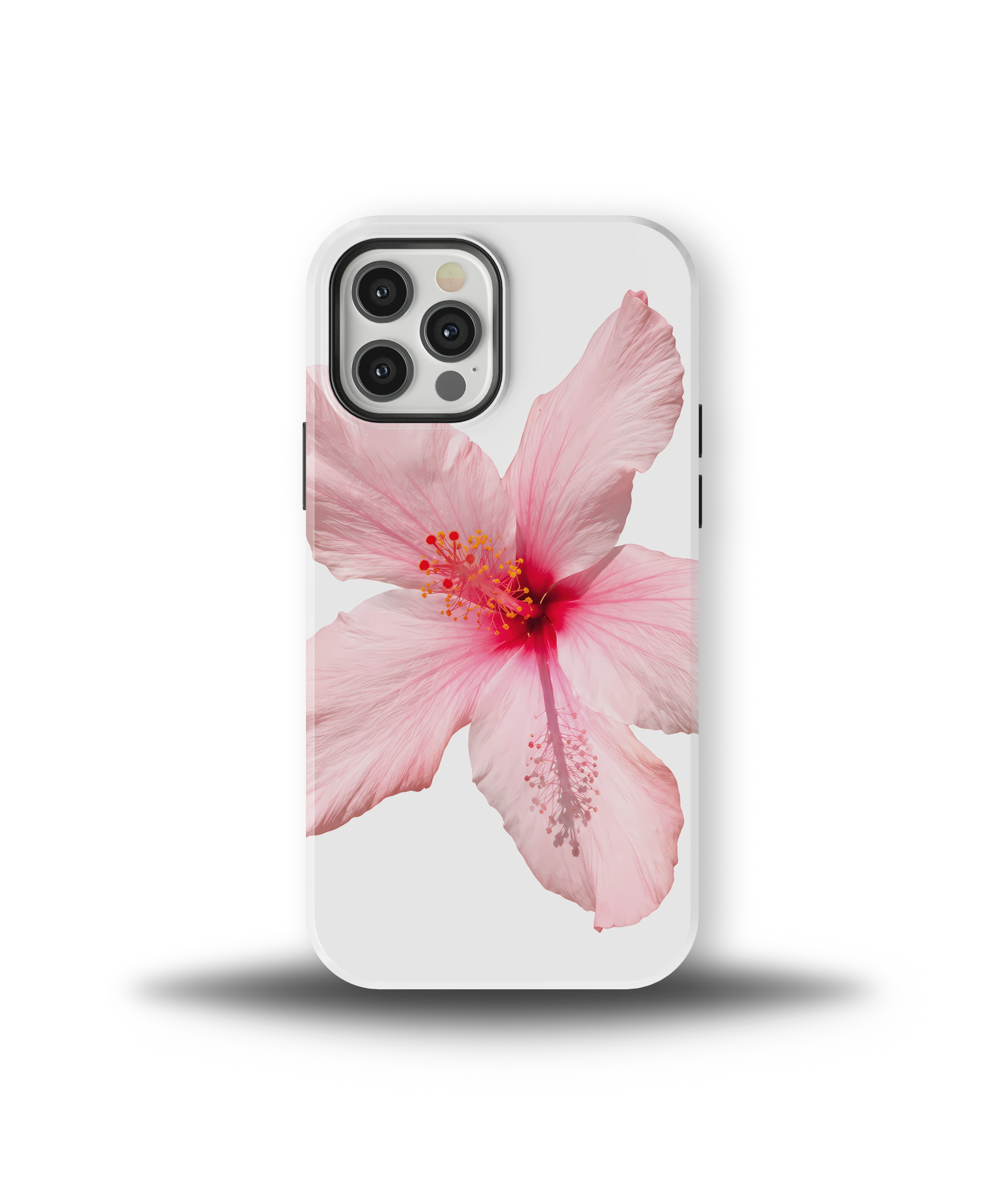 Pink Hibiscus