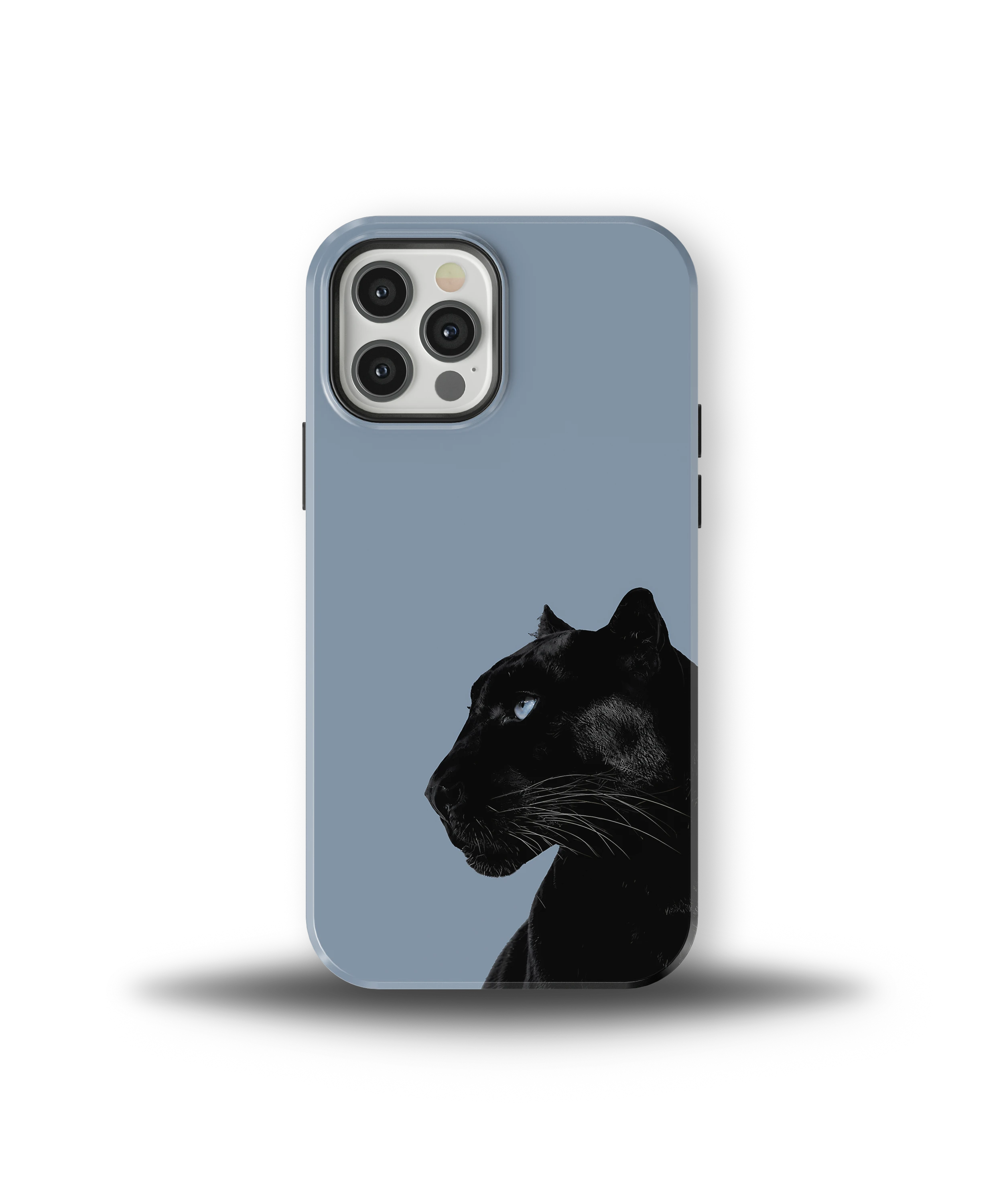 Shadow Panther