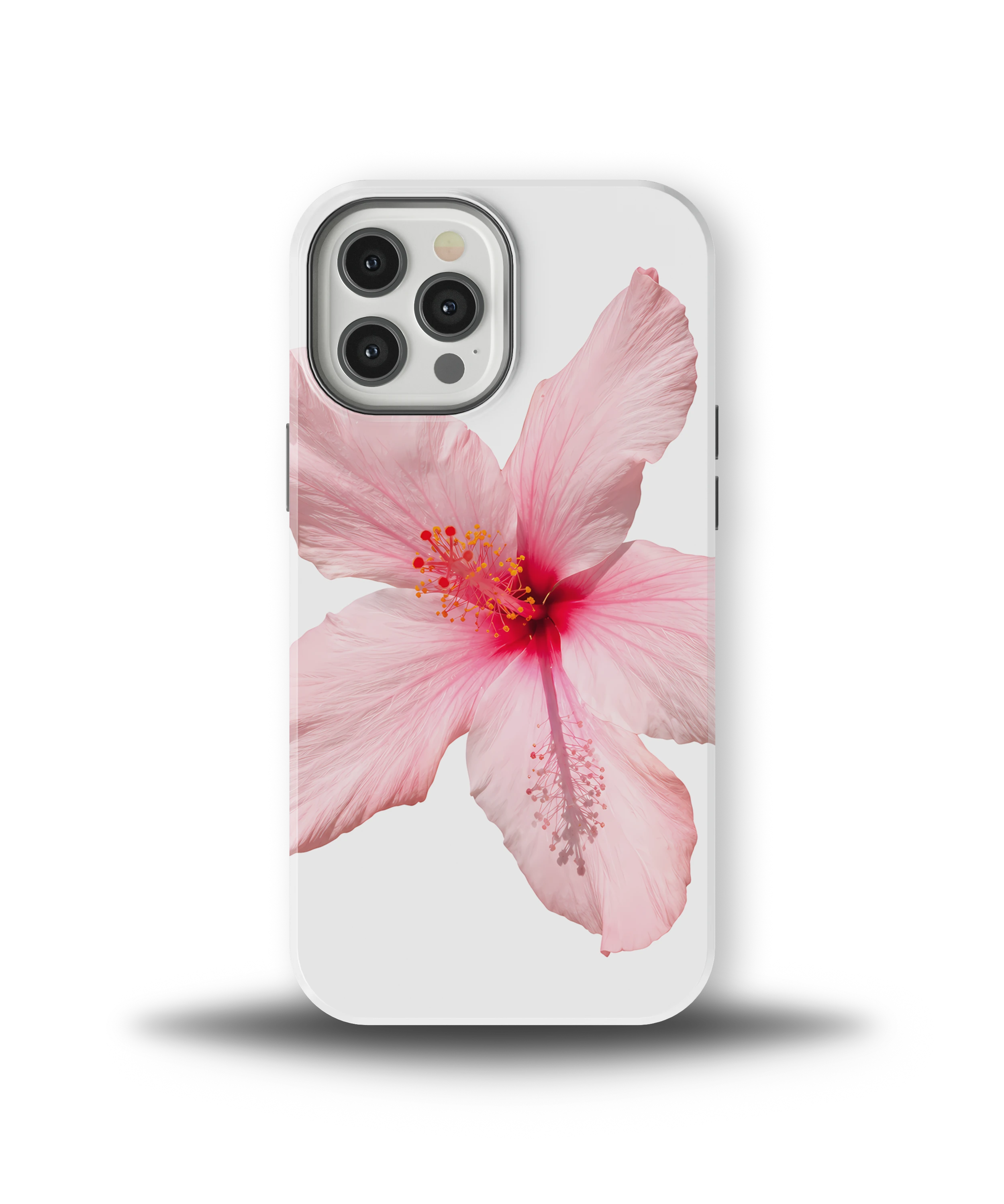 Pink Hibiscus