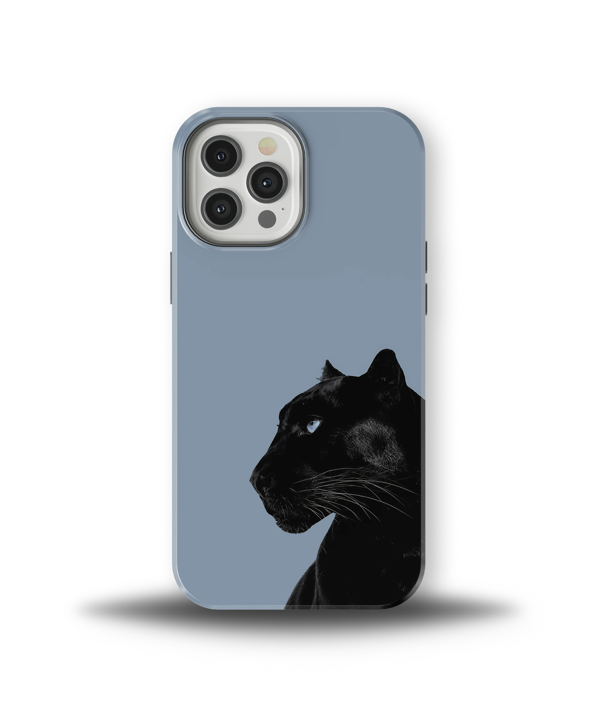Shadow Panther