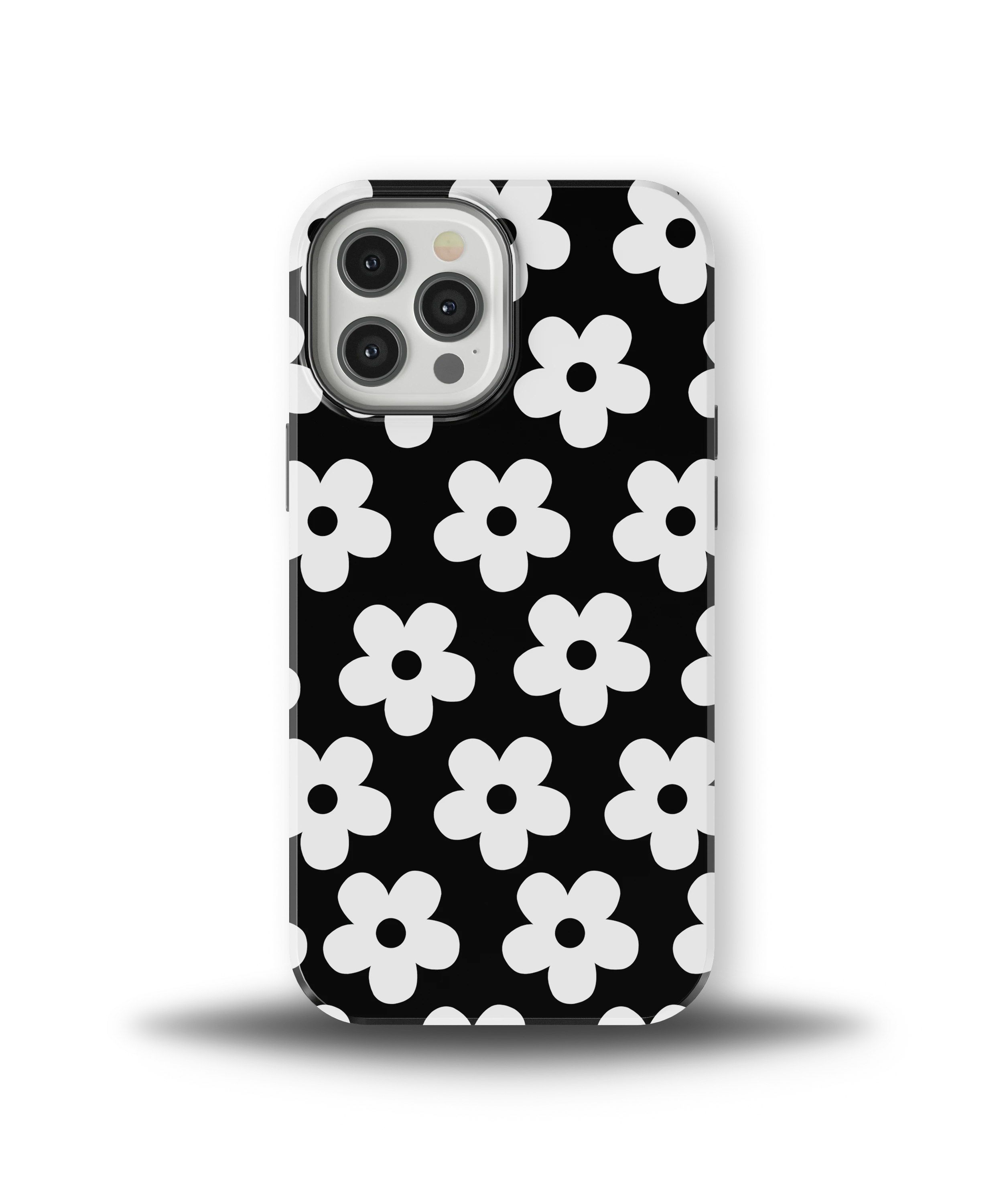 Noir Daisy