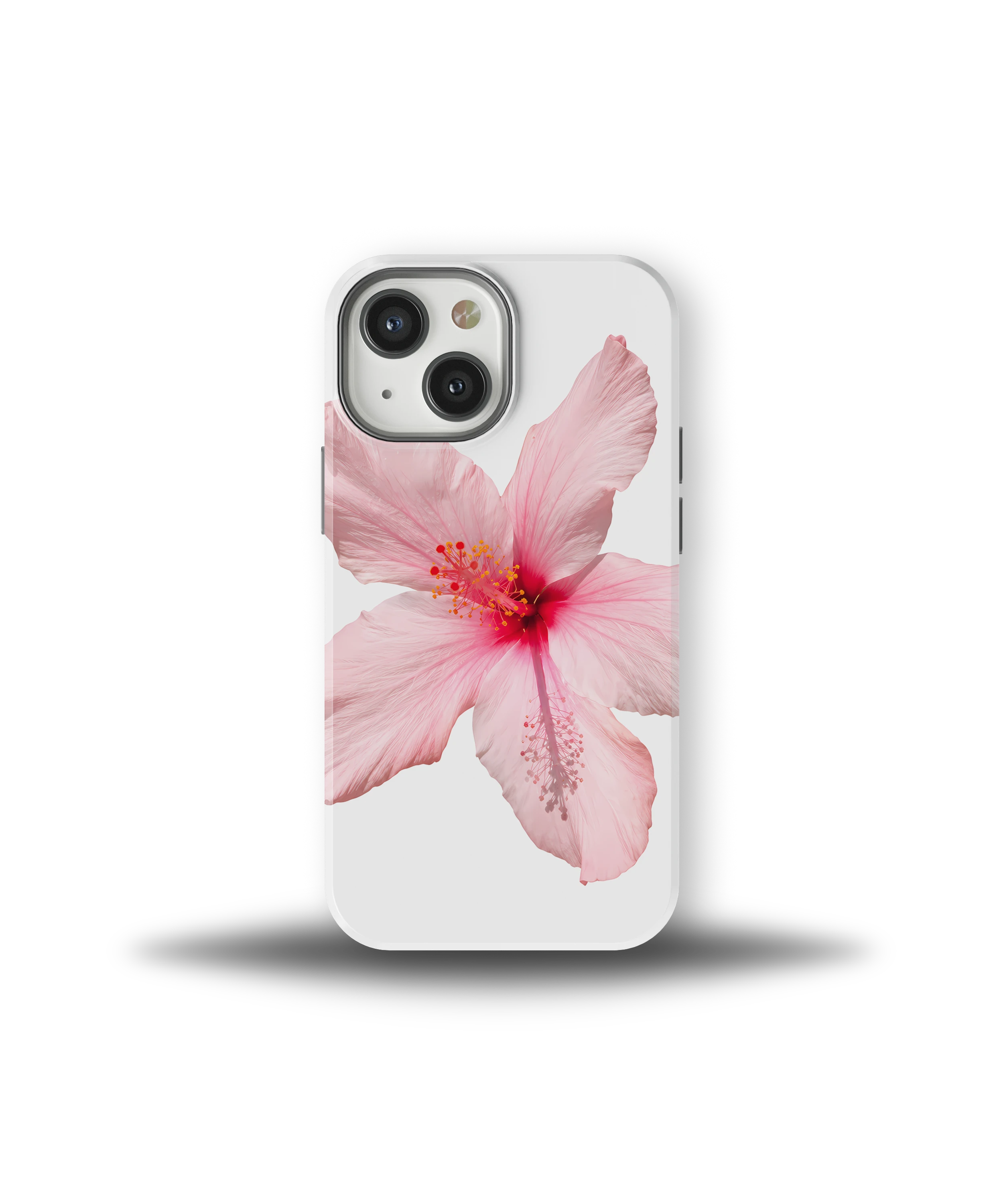Pink Hibiscus