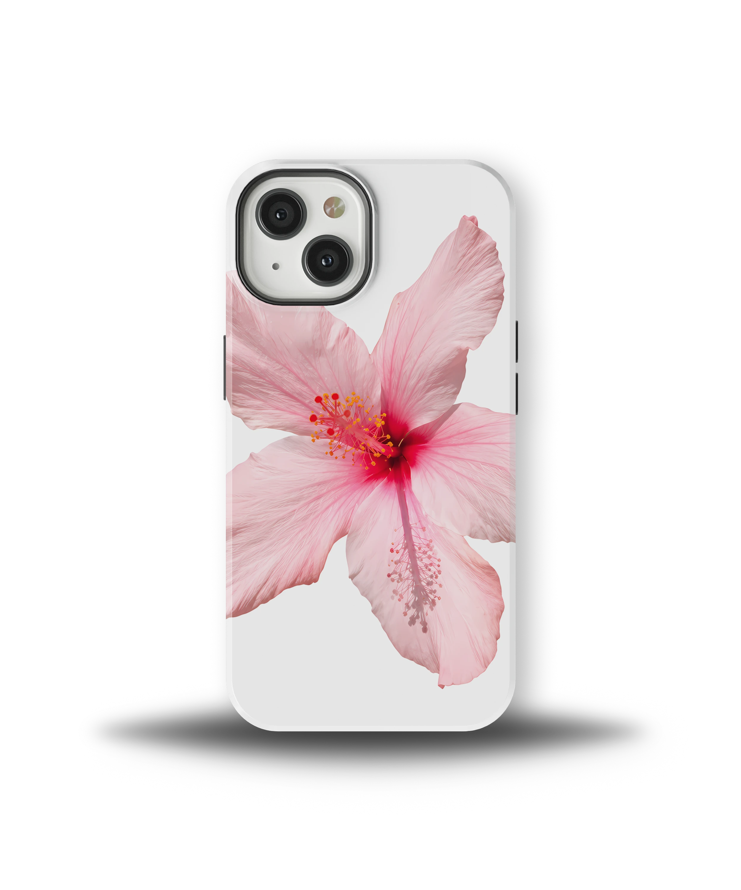 Pink Hibiscus