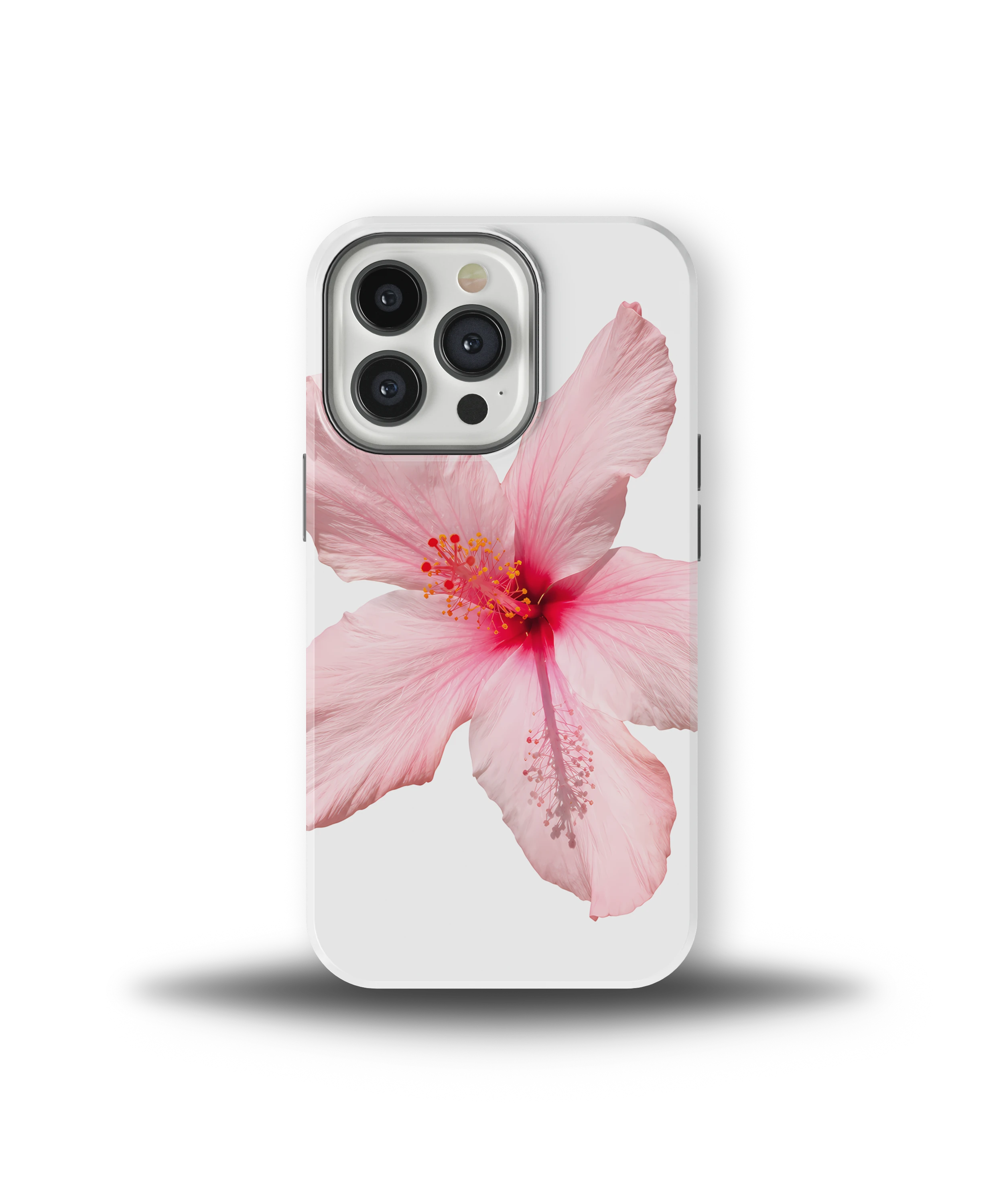 Pink Hibiscus