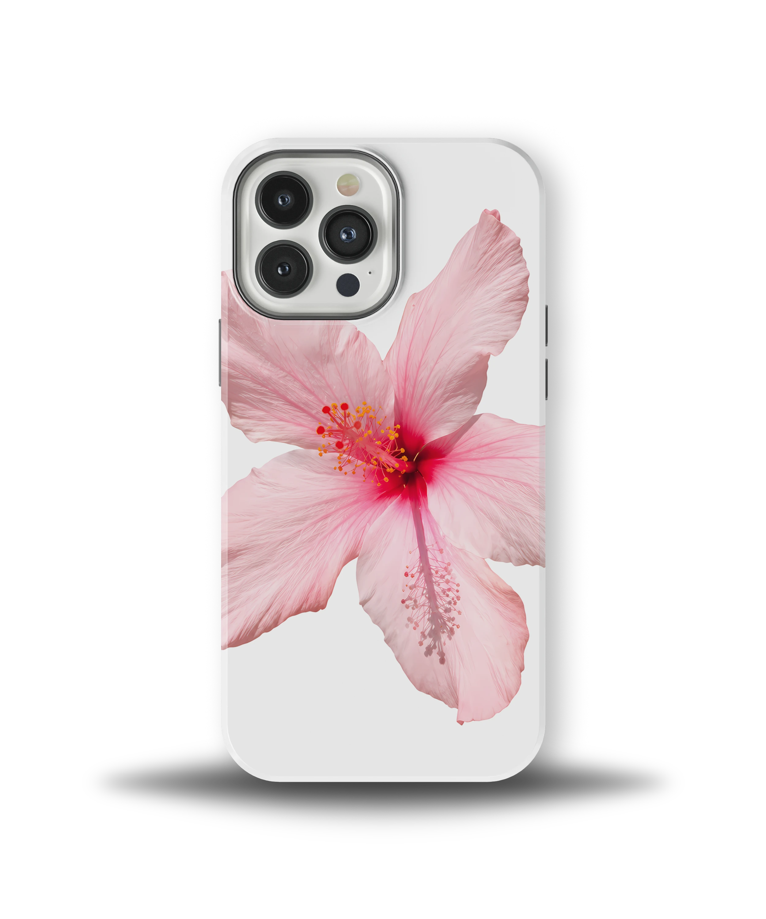 Pink Hibiscus