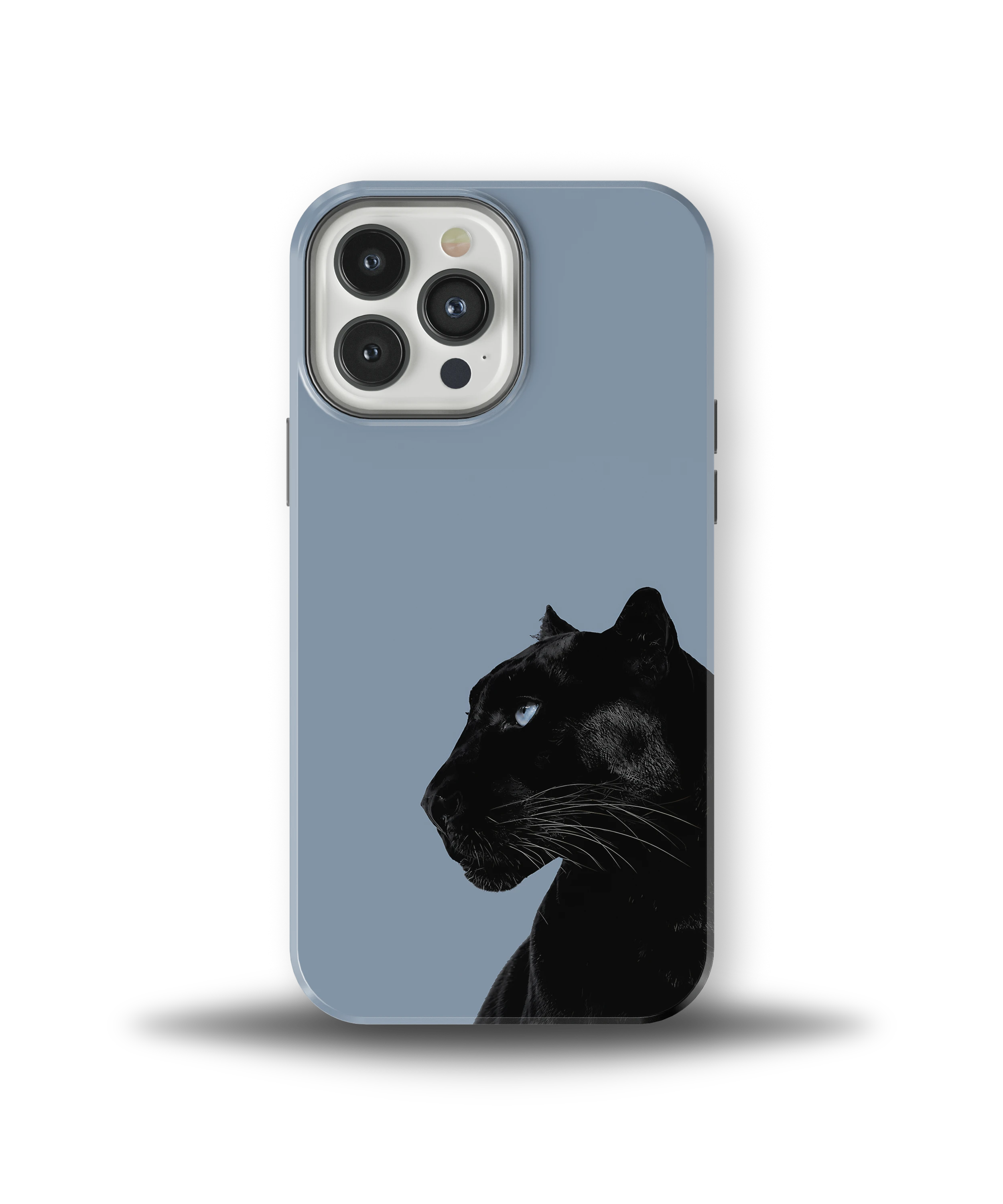 Shadow Panther