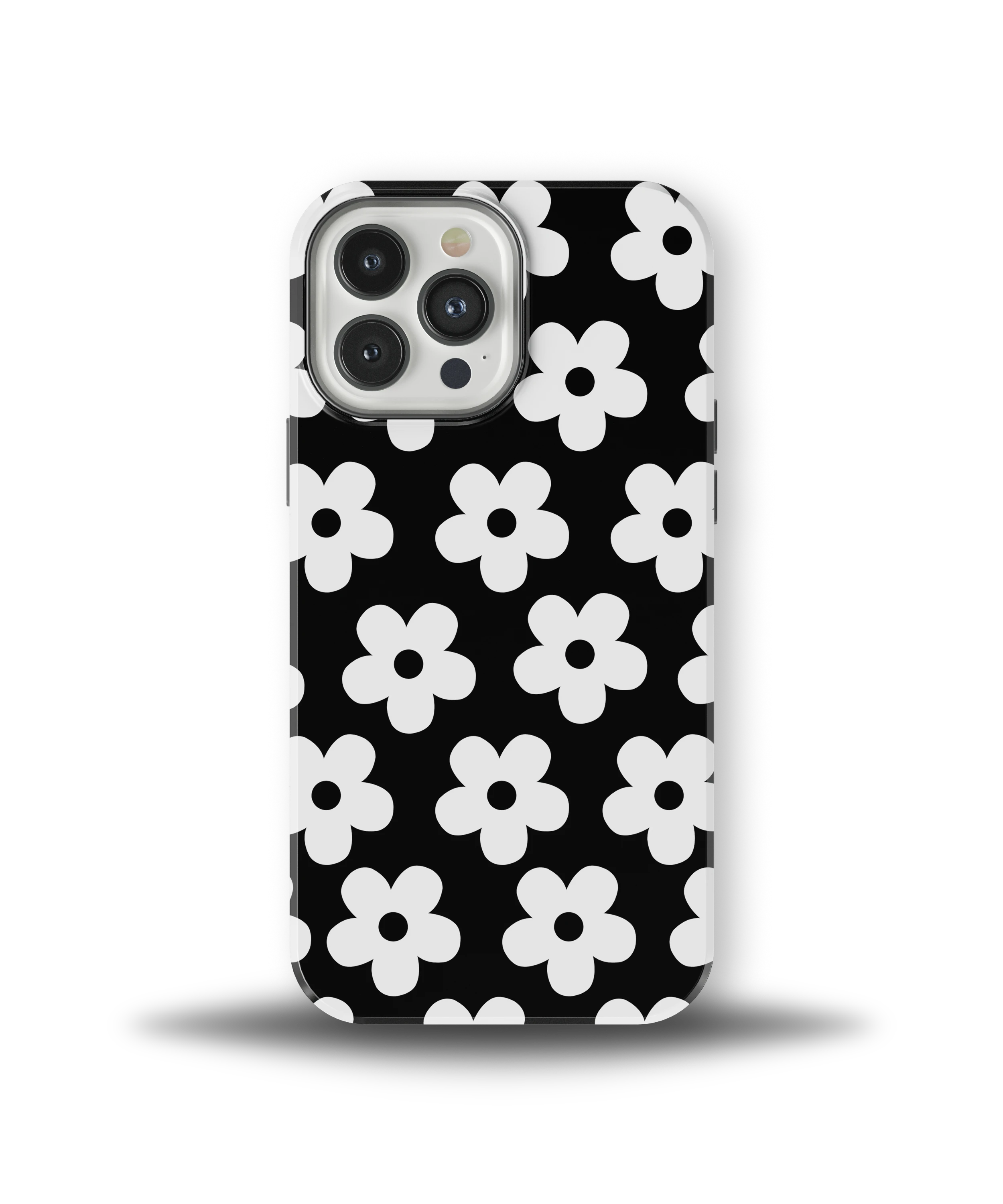 Noir Daisy