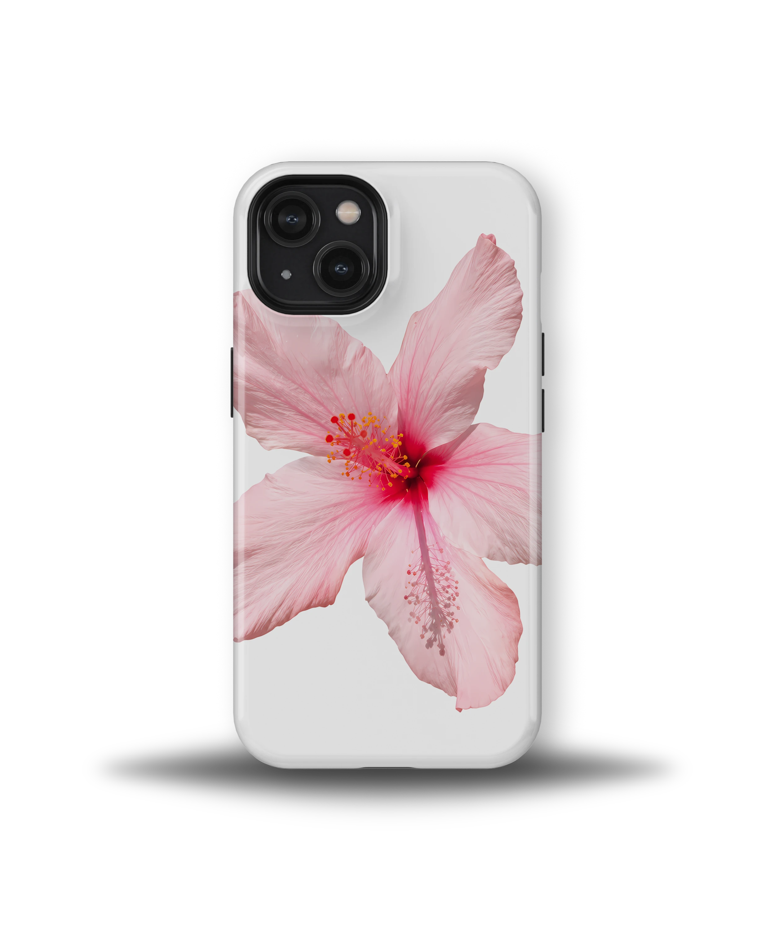 Pink Hibiscus