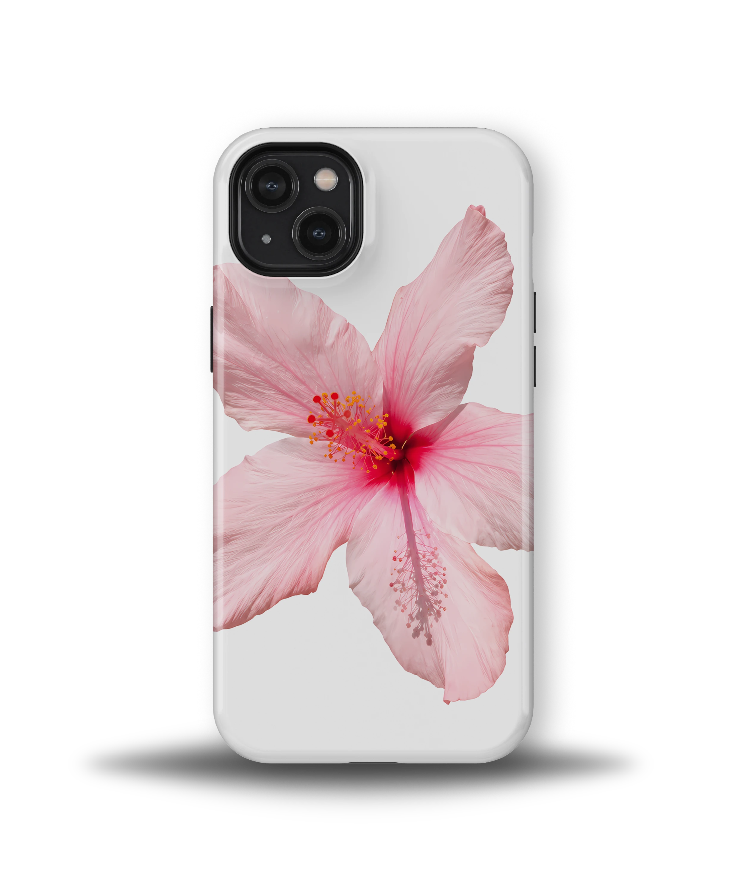 Pink Hibiscus