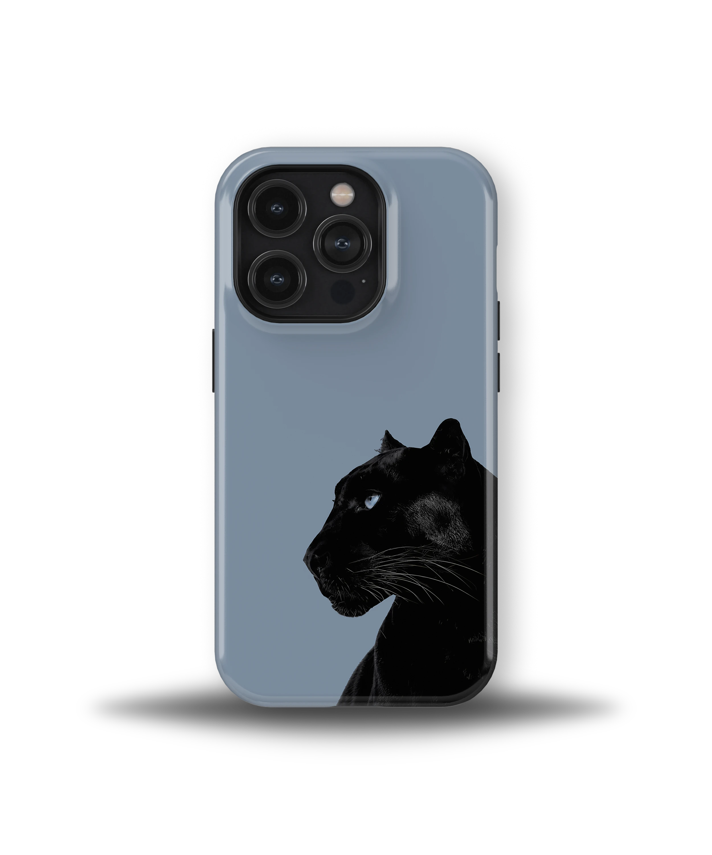Shadow Panther