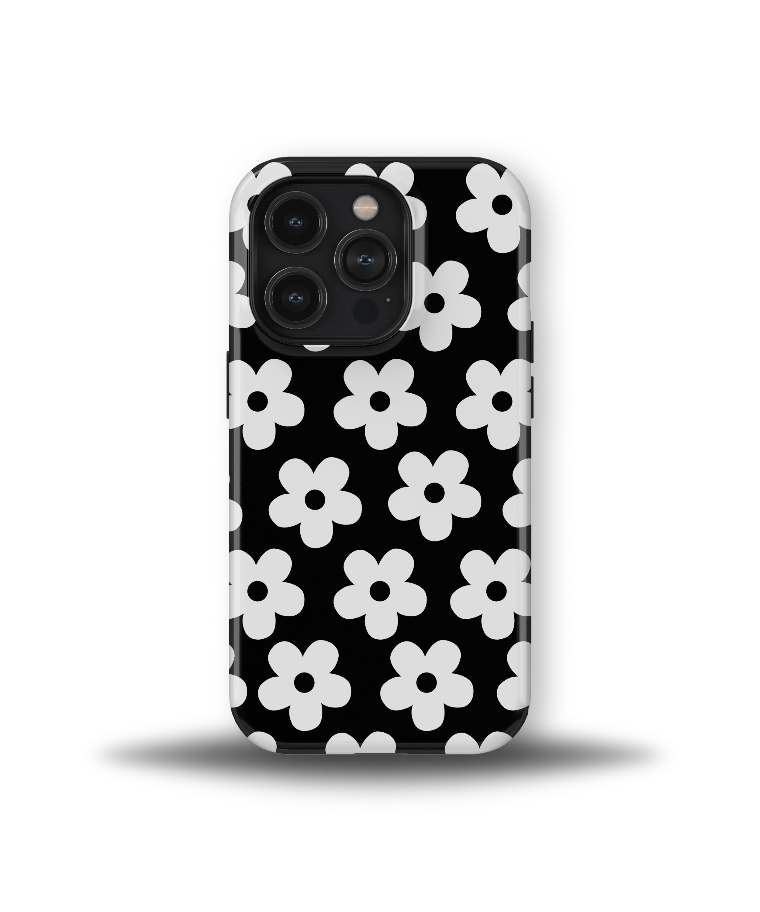 Noir Daisy