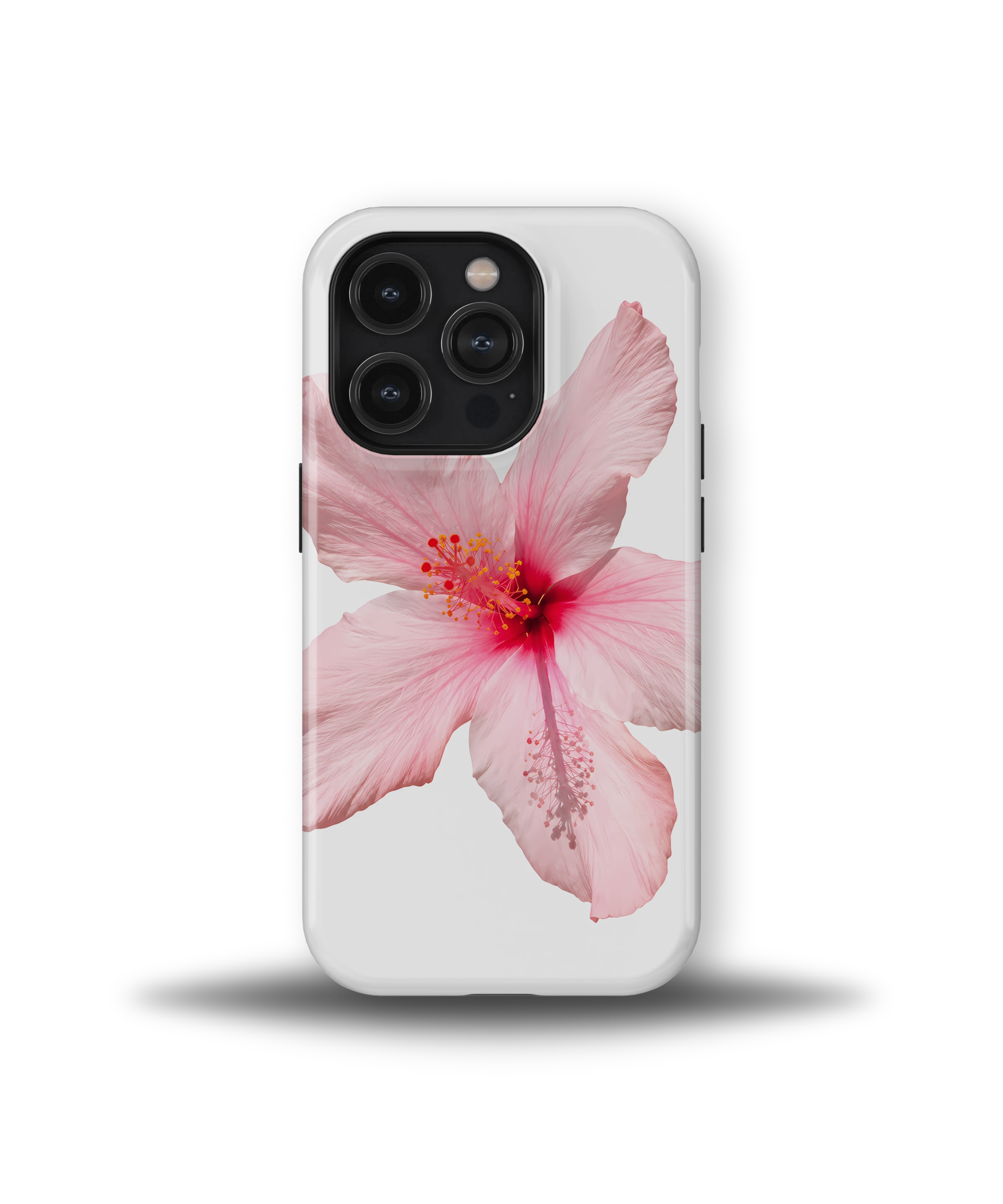 Pink Hibiscus