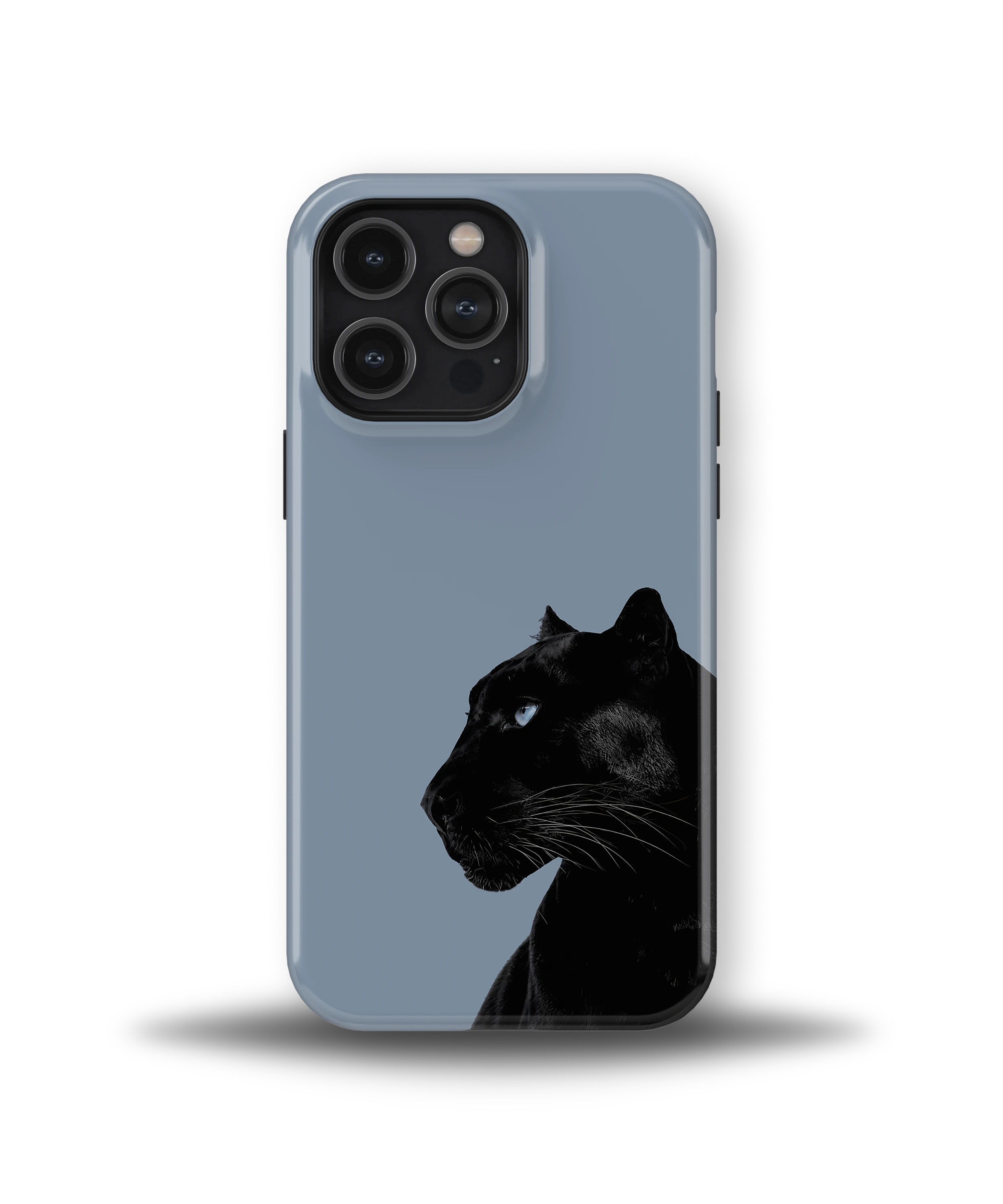 Shadow Panther