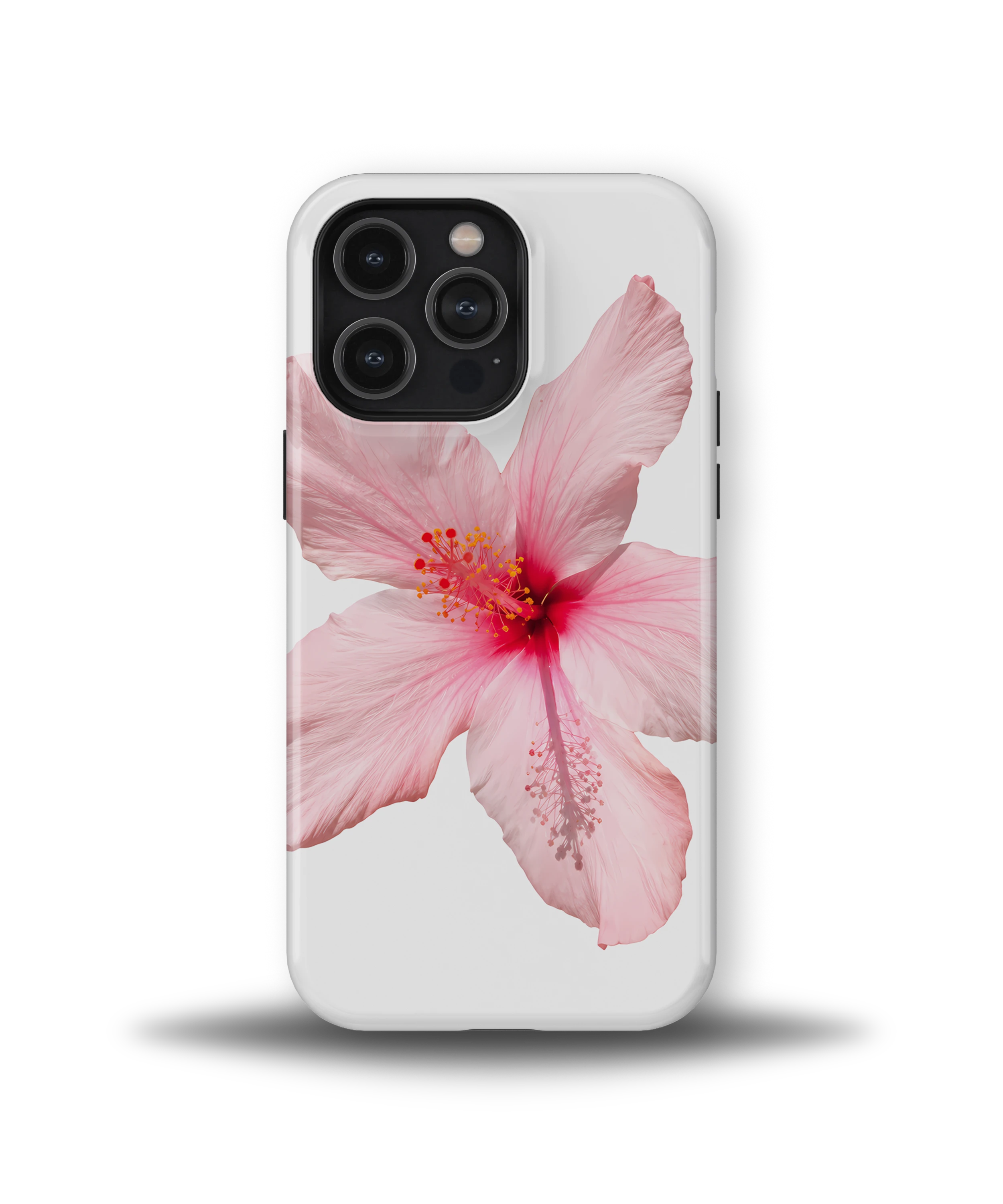 Pink Hibiscus