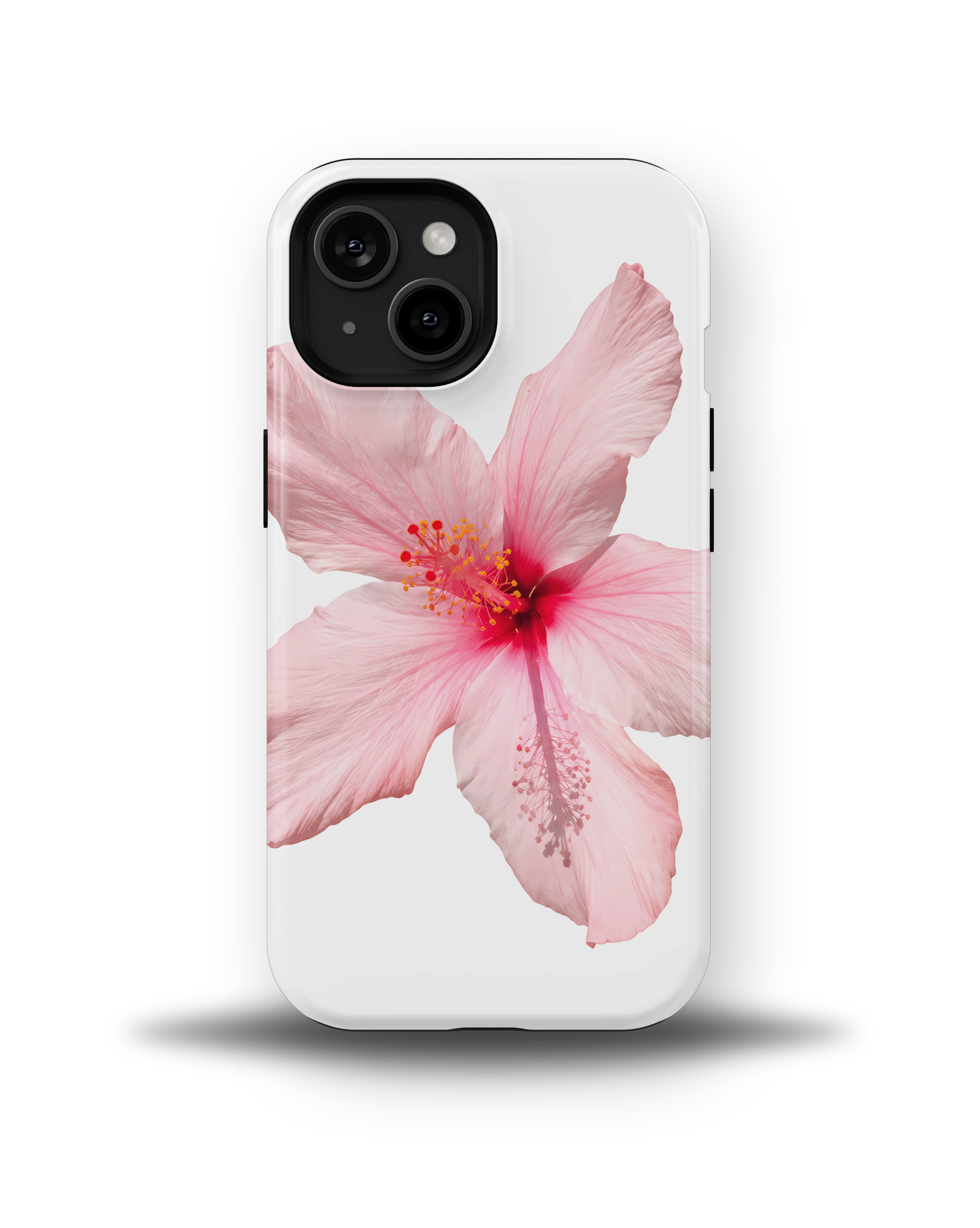 Pink Hibiscus