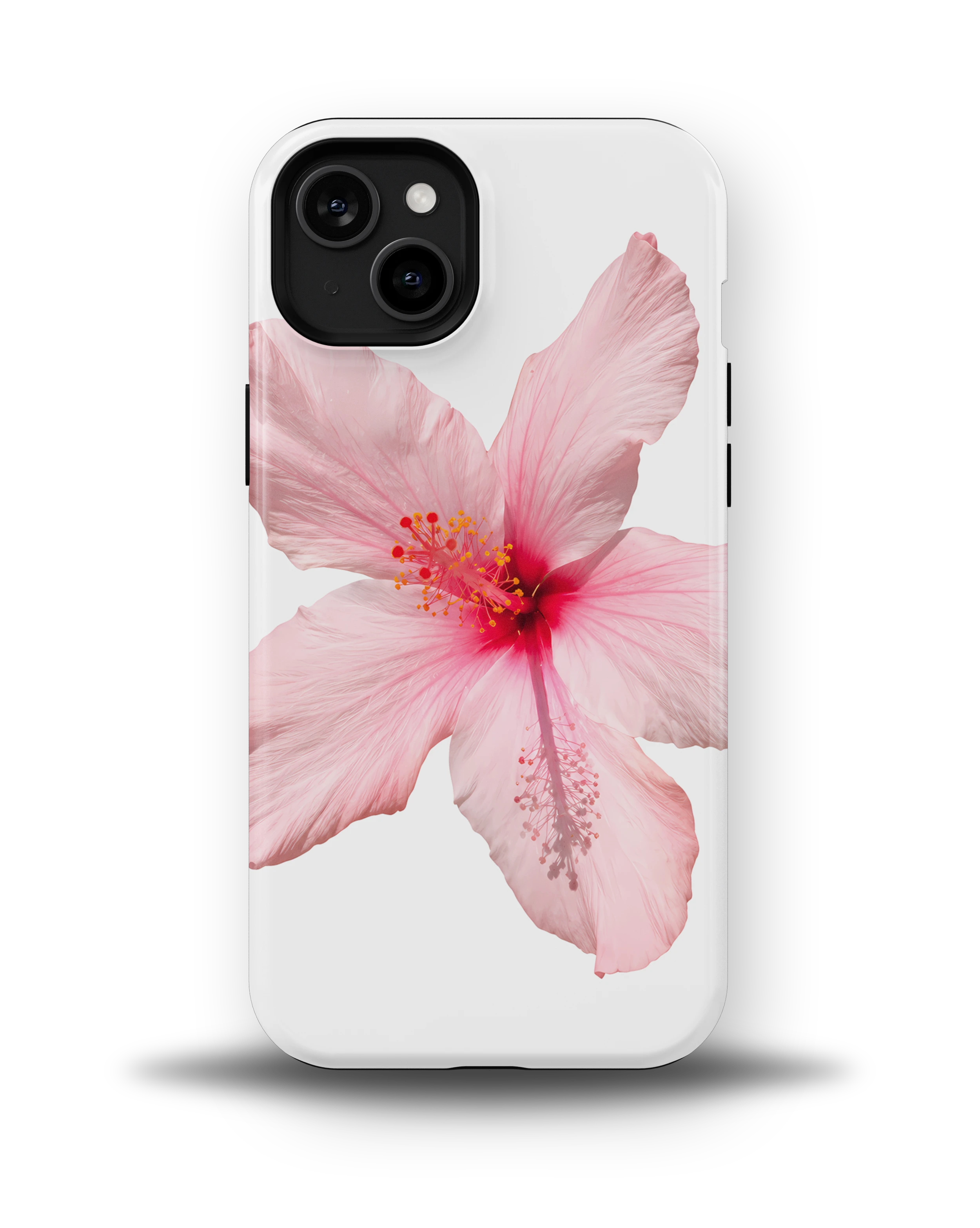 Pink Hibiscus