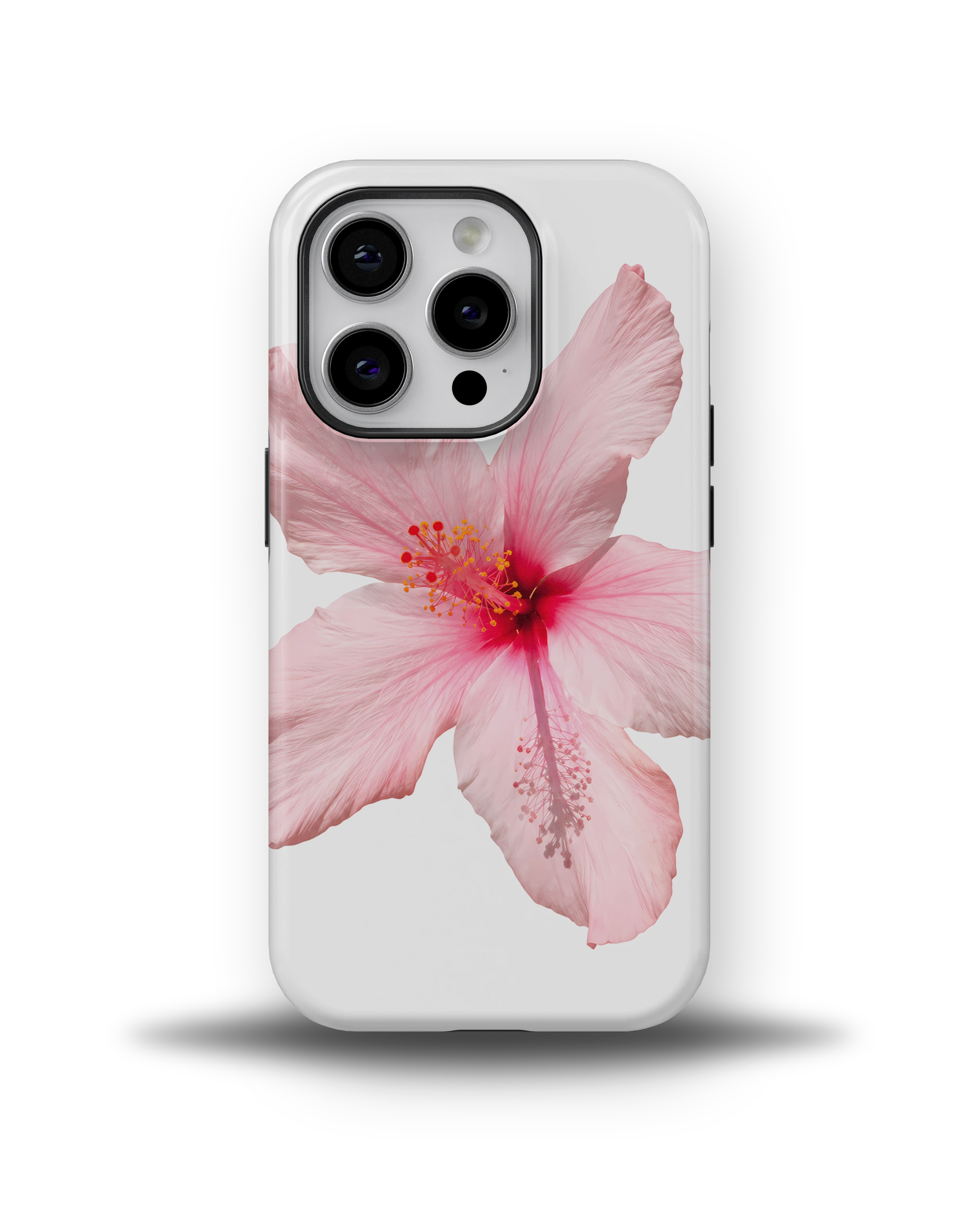 Pink Hibiscus