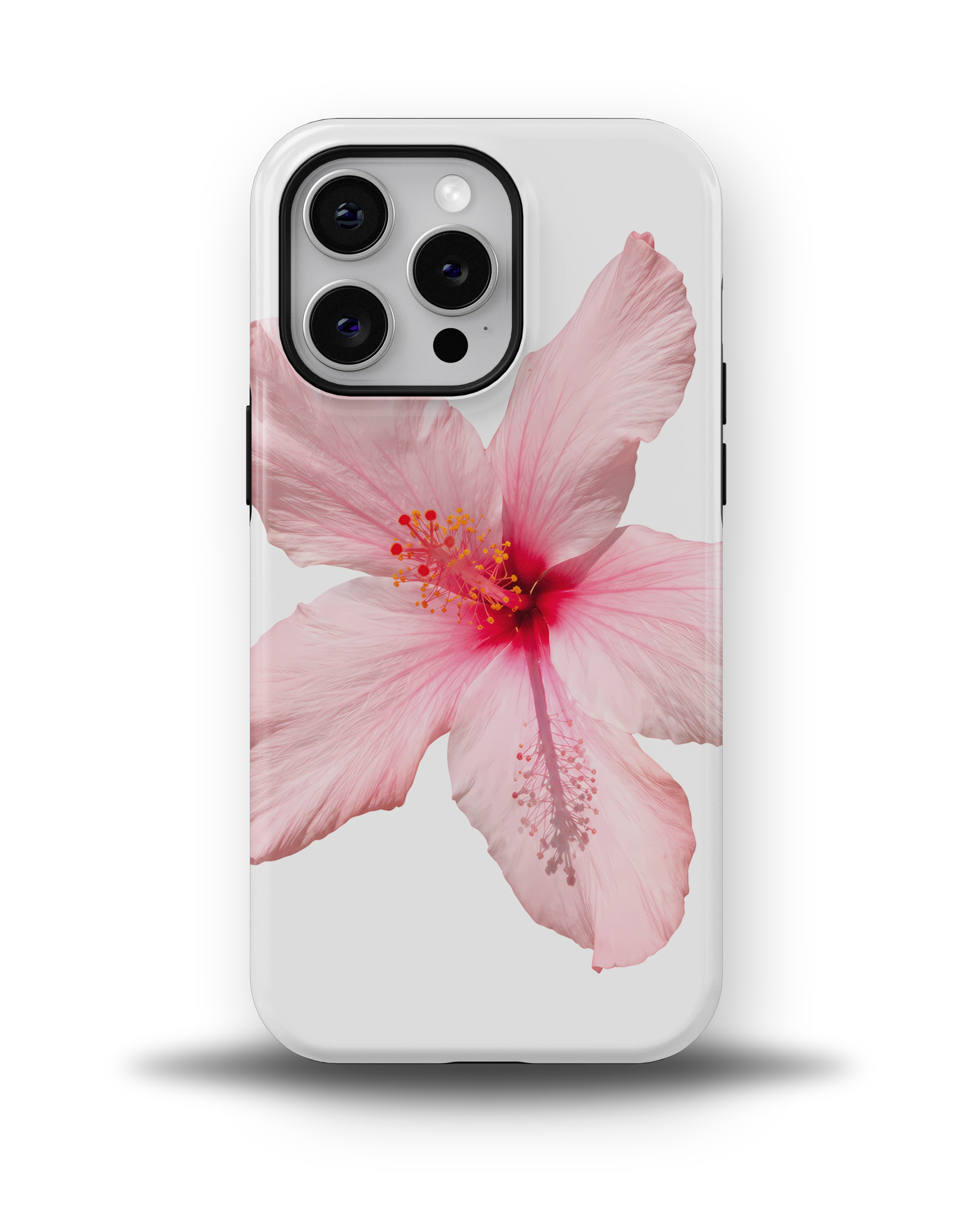 Pink Hibiscus