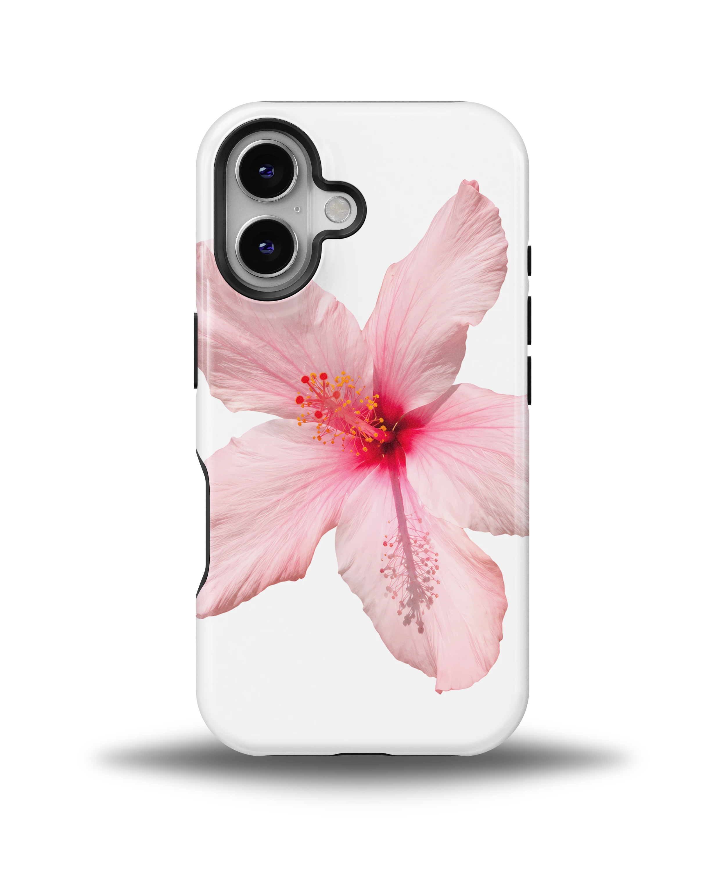 Pink Hibiscus