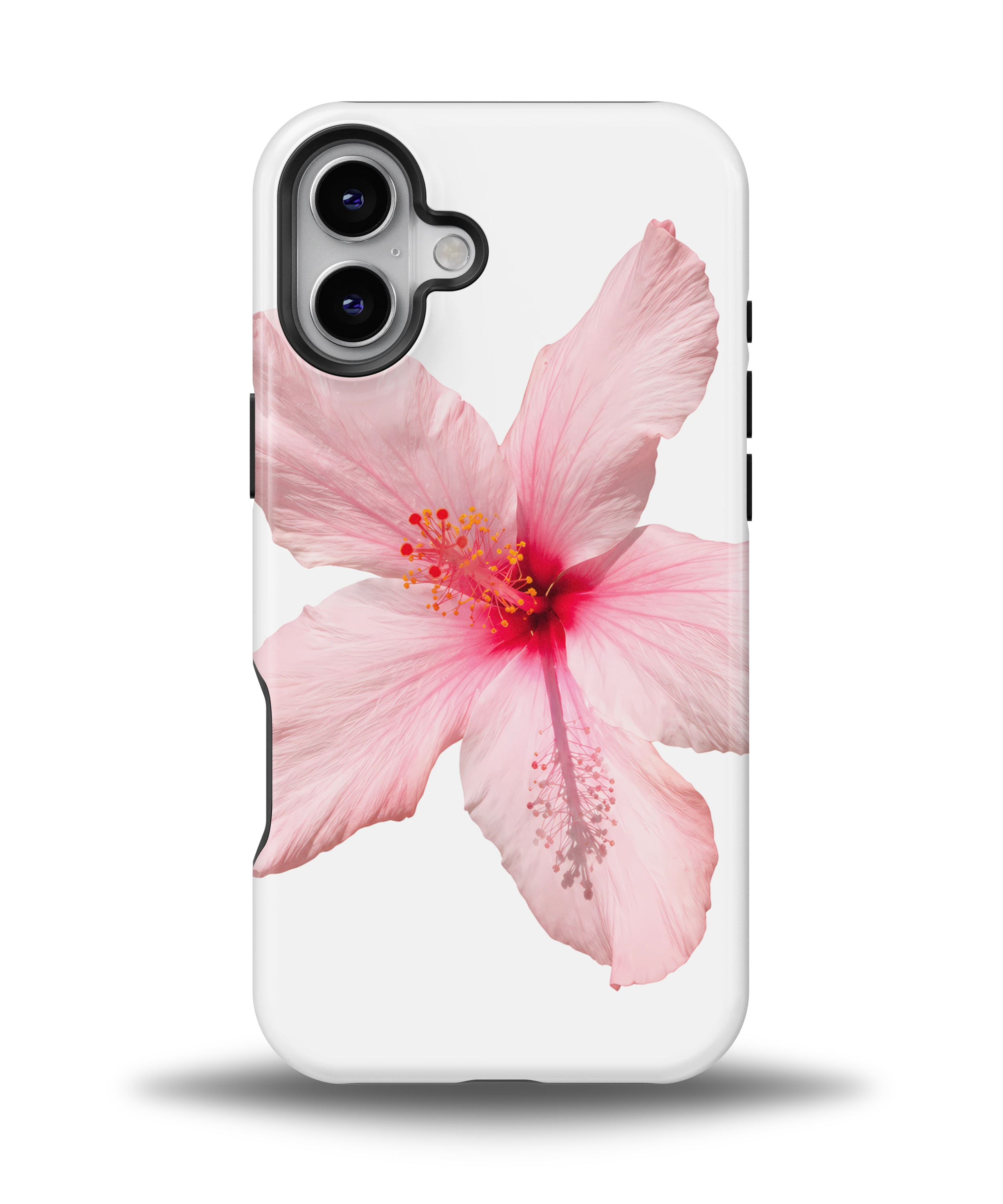 Pink Hibiscus
