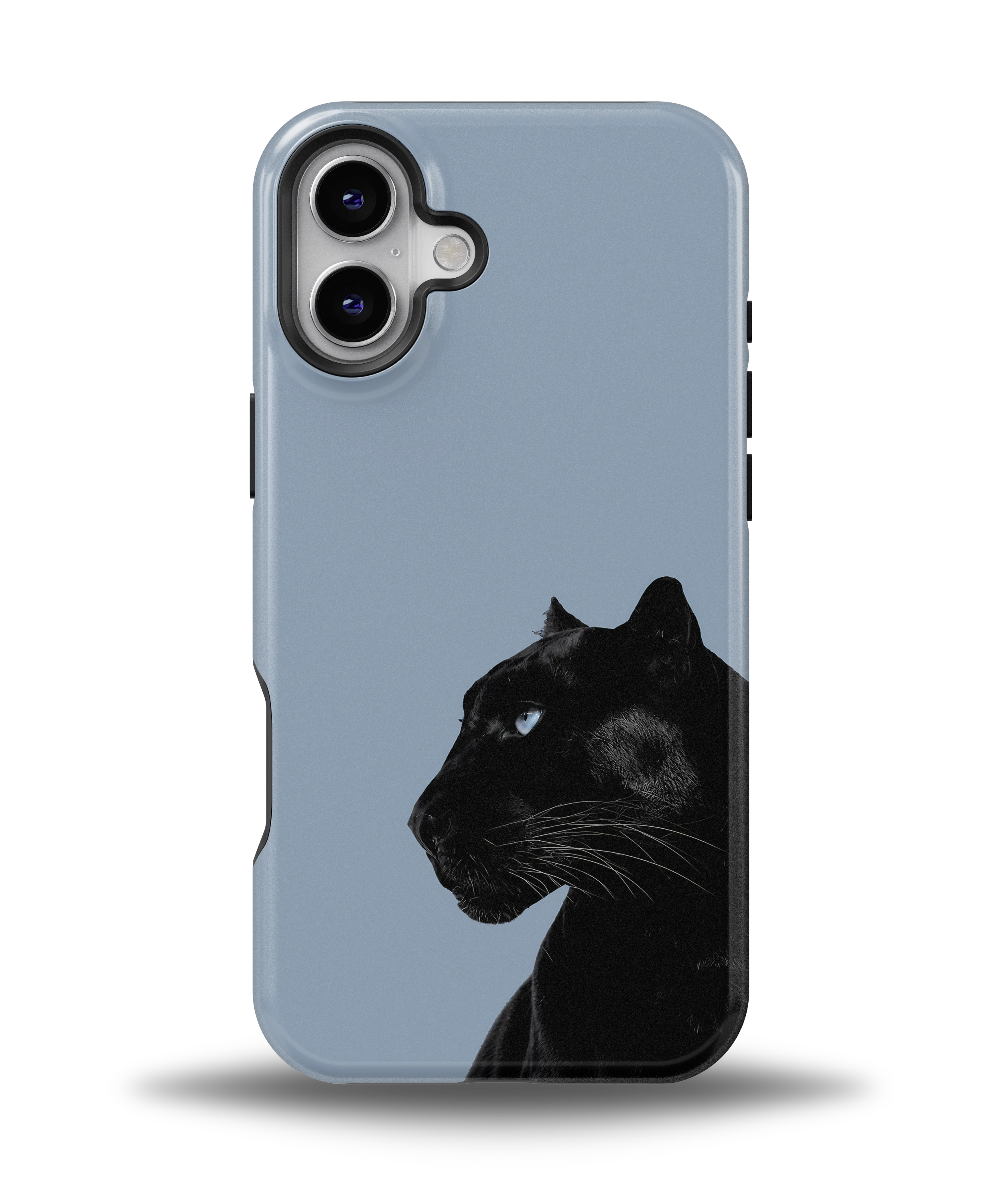Shadow Panther