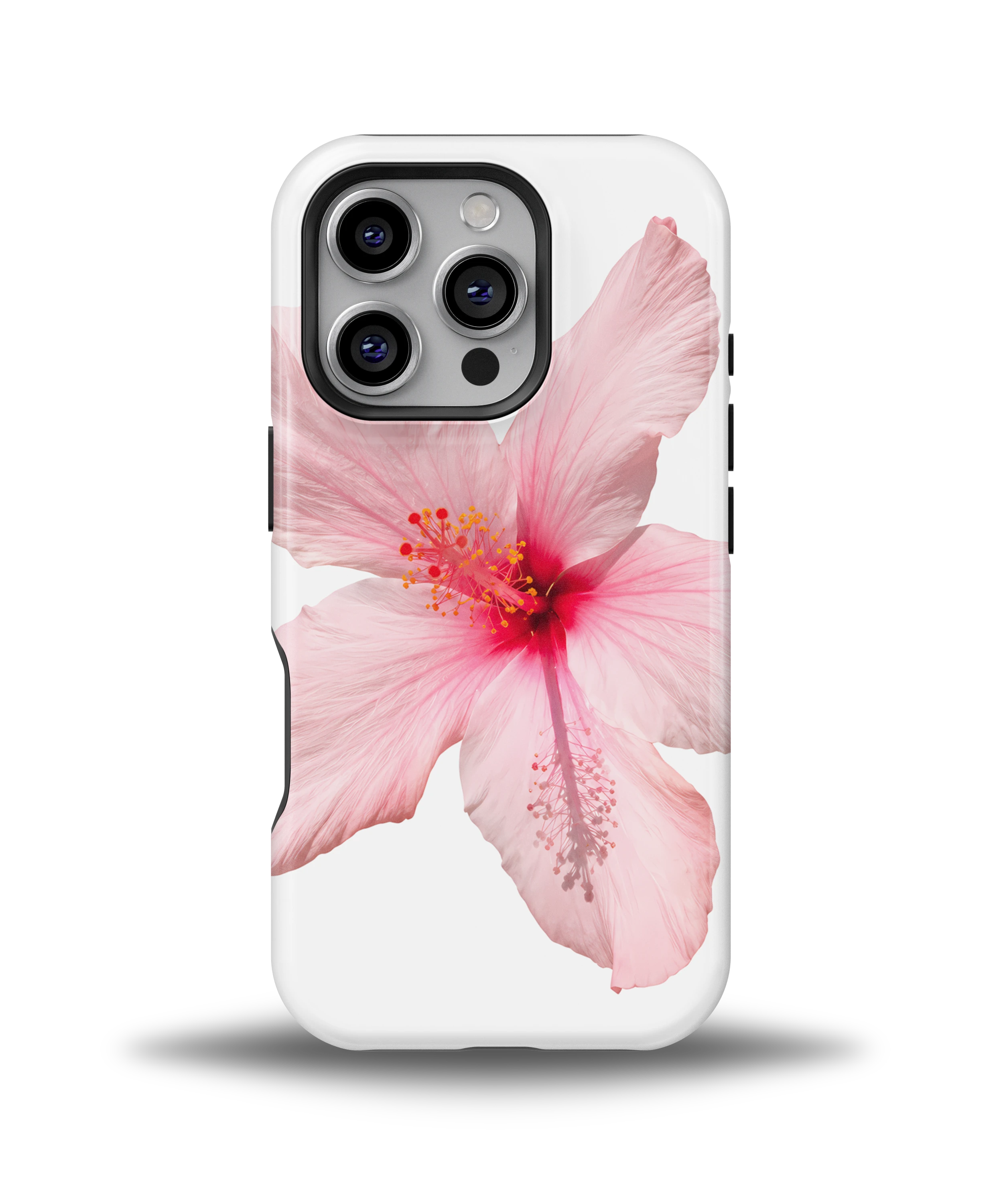 Pink Hibiscus