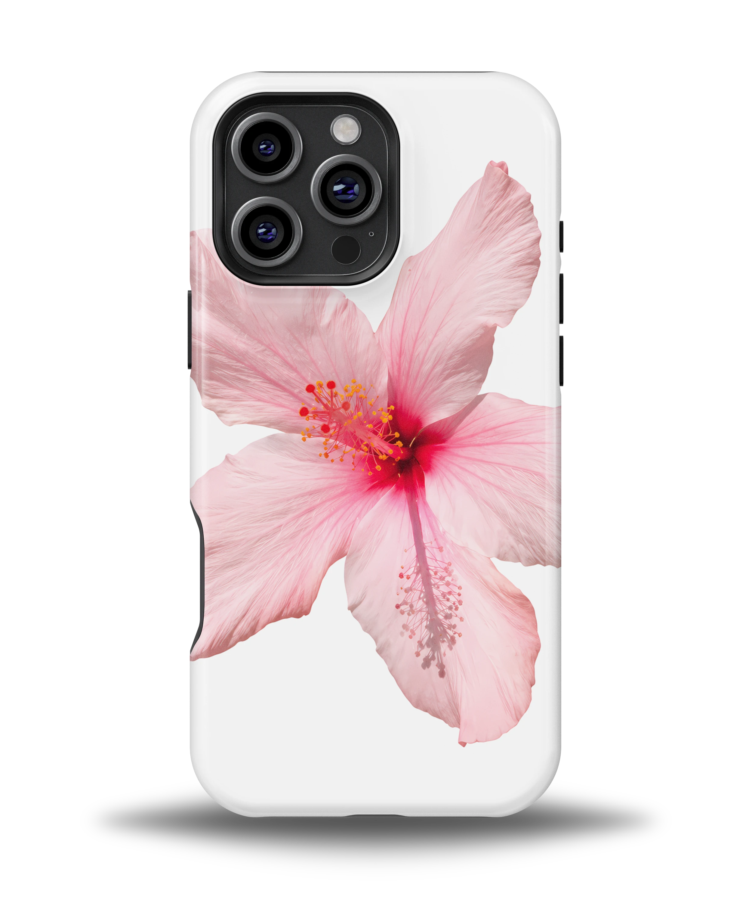 Pink Hibiscus