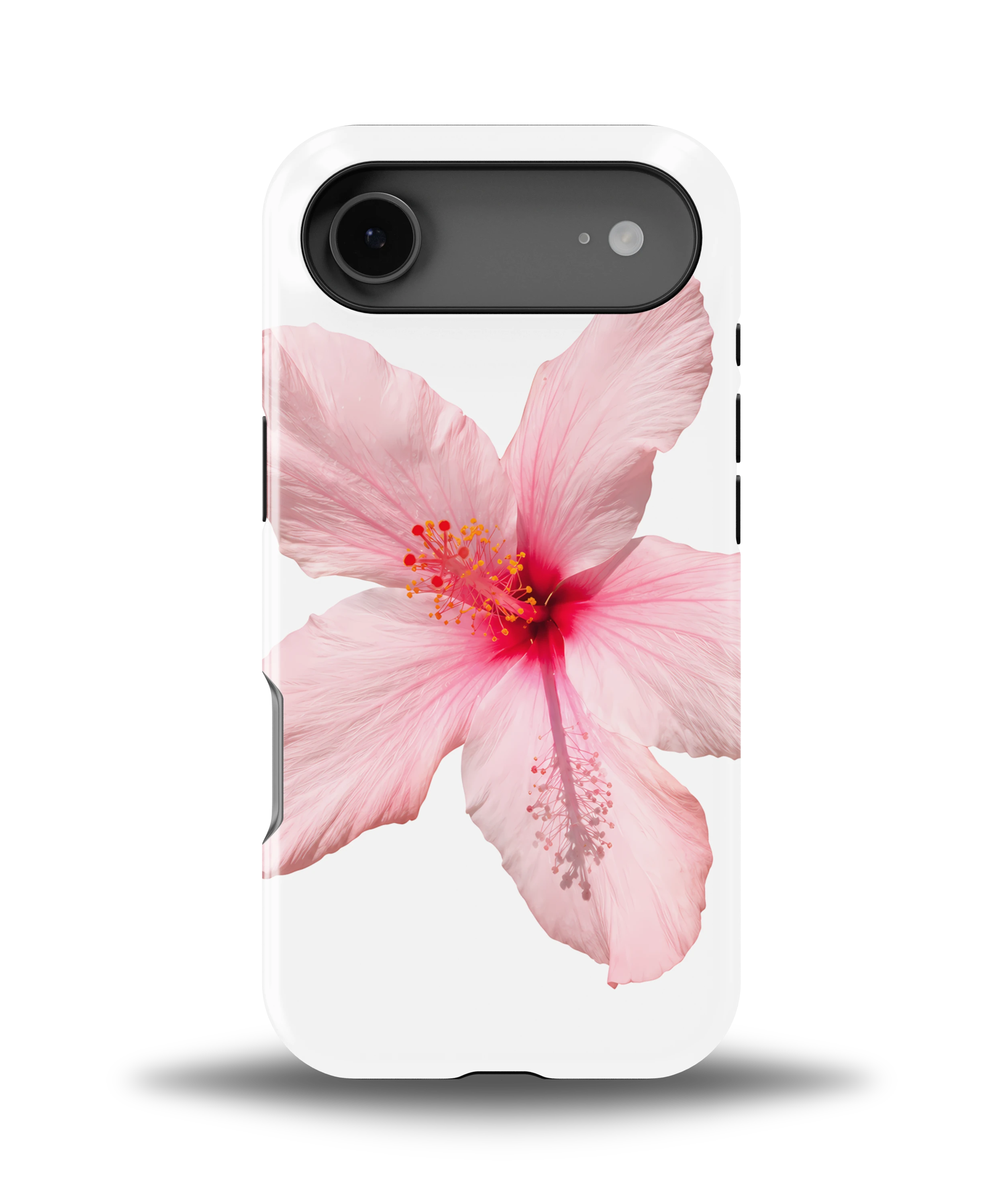 Pink Hibiscus
