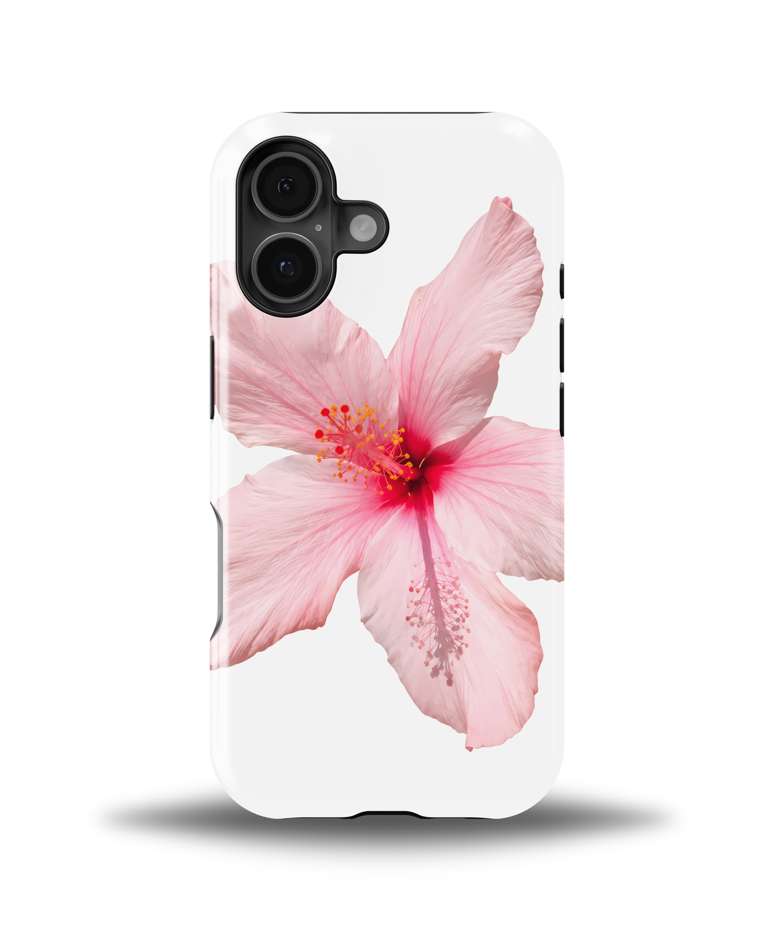Pink Hibiscus