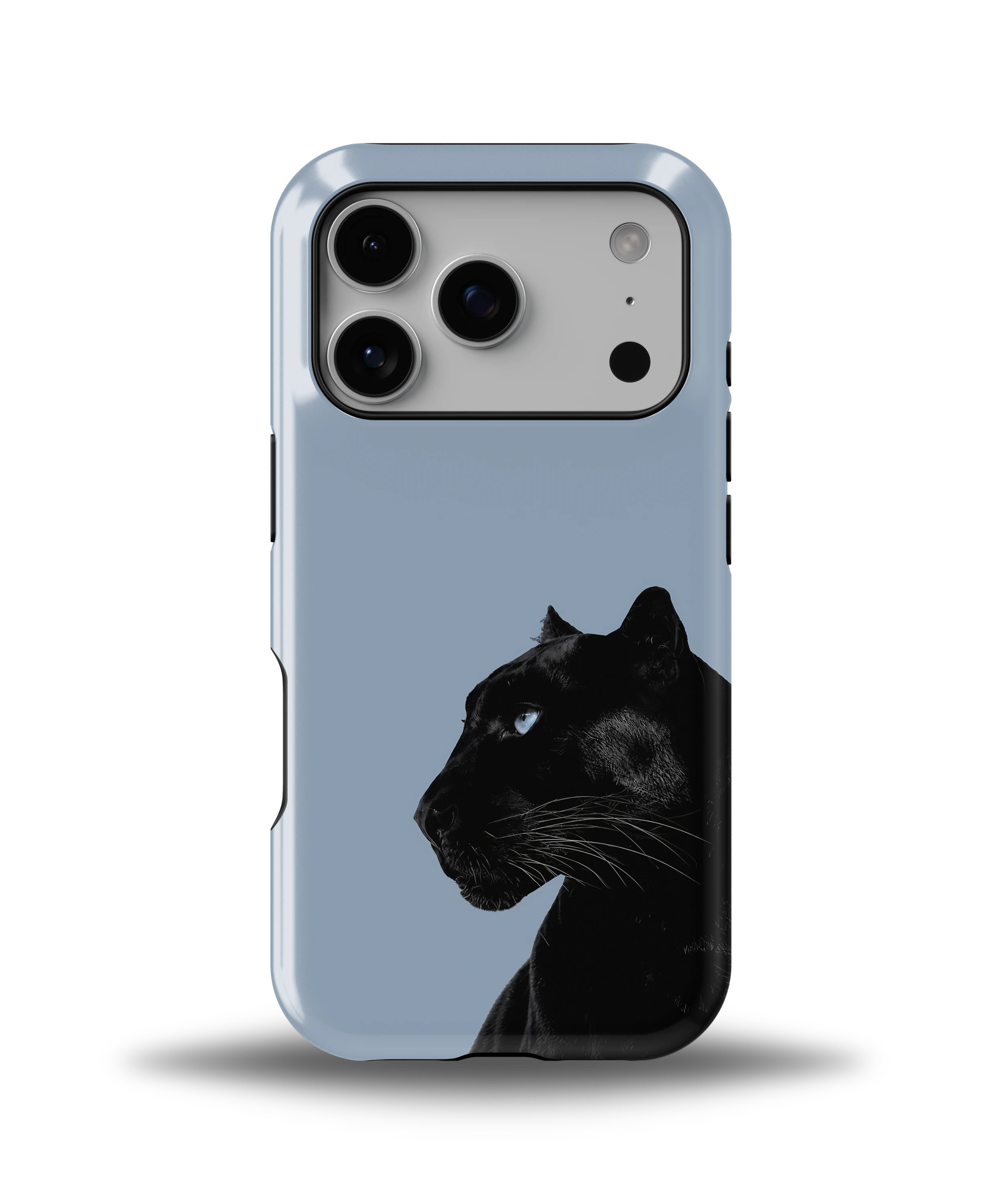 Shadow Panther