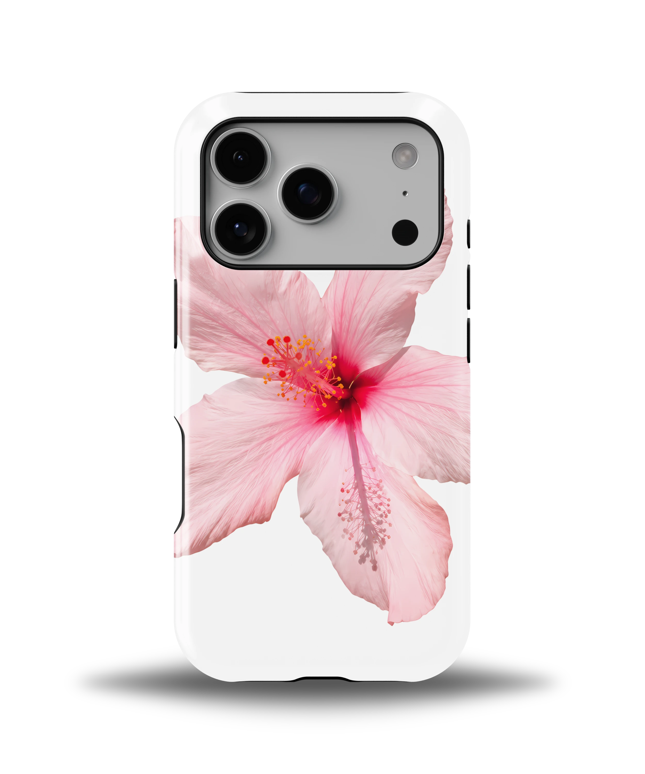 Pink Hibiscus