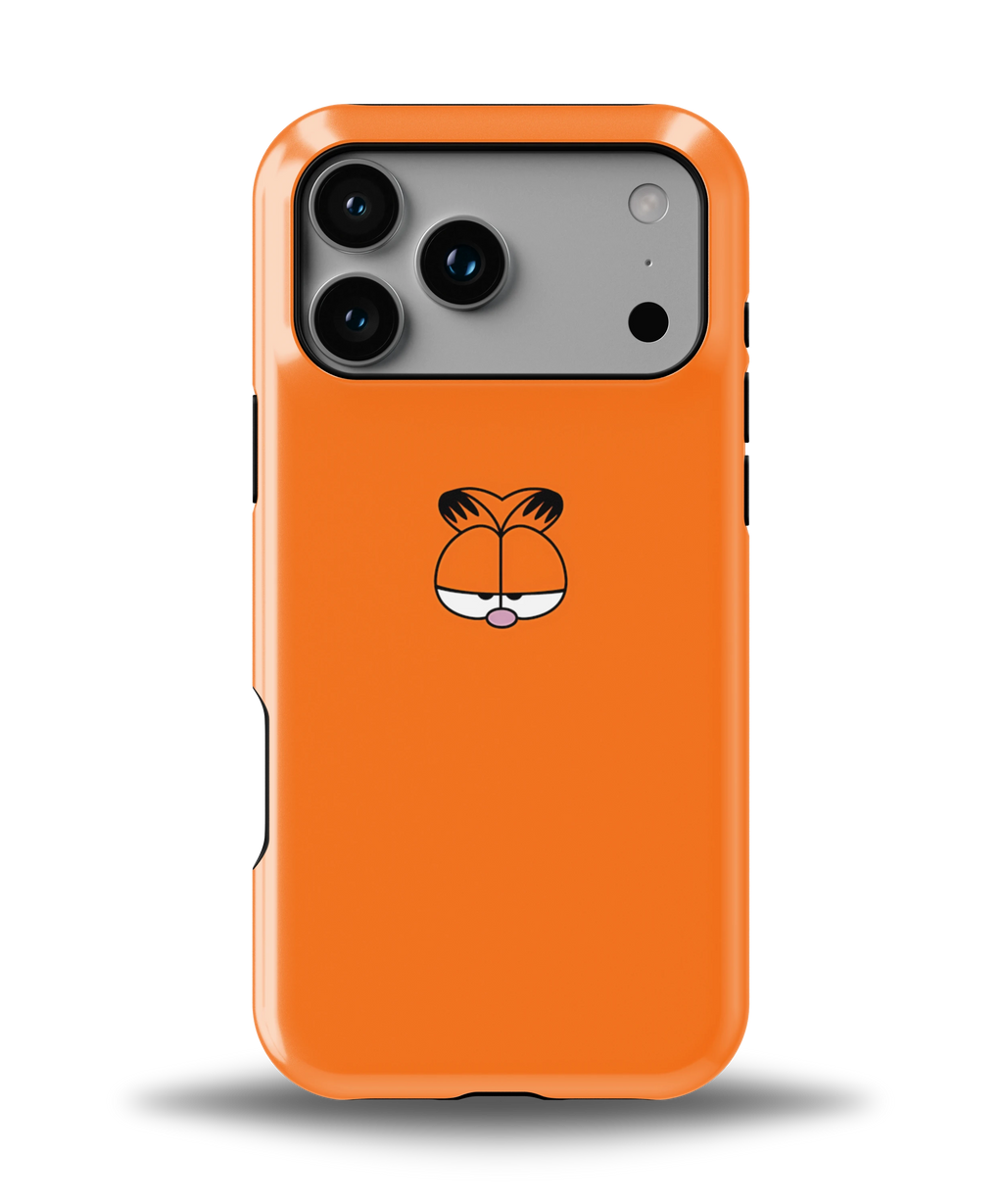 Garfield Mood