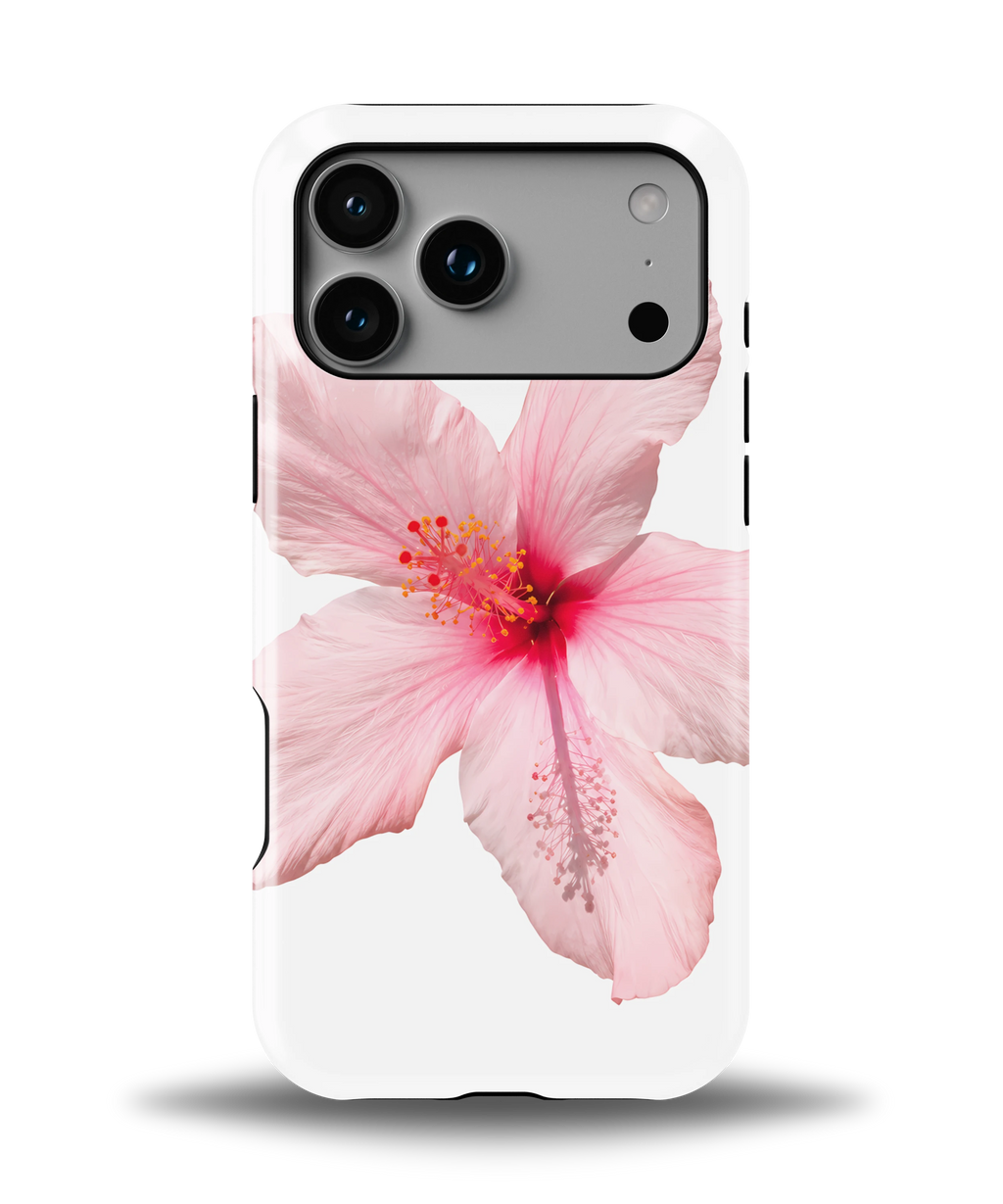 Pink Hibiscus