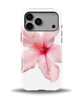 Pink Hibiscus