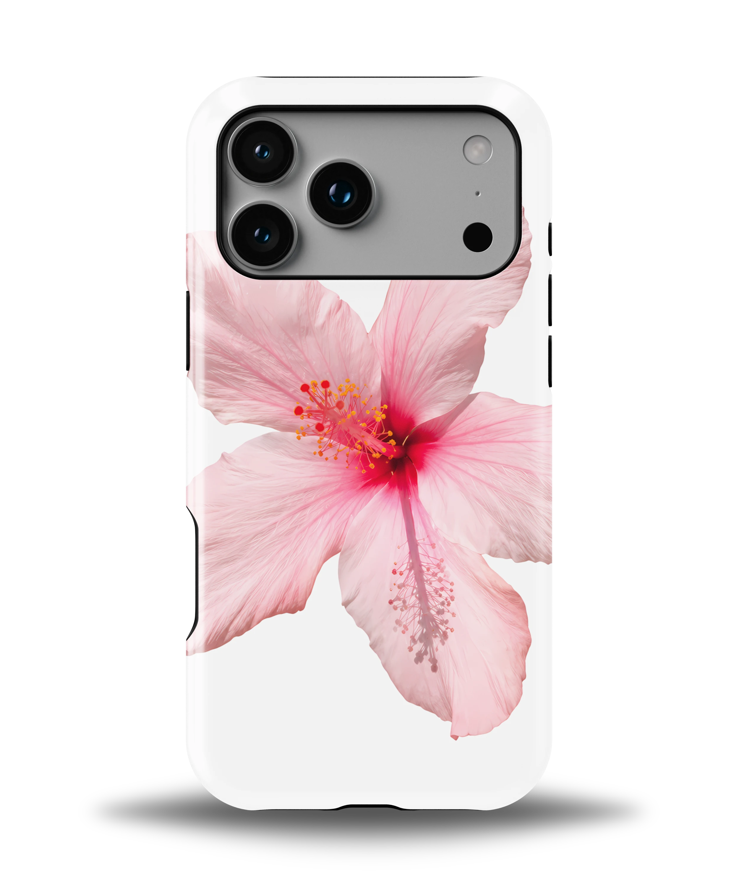 Pink Hibiscus