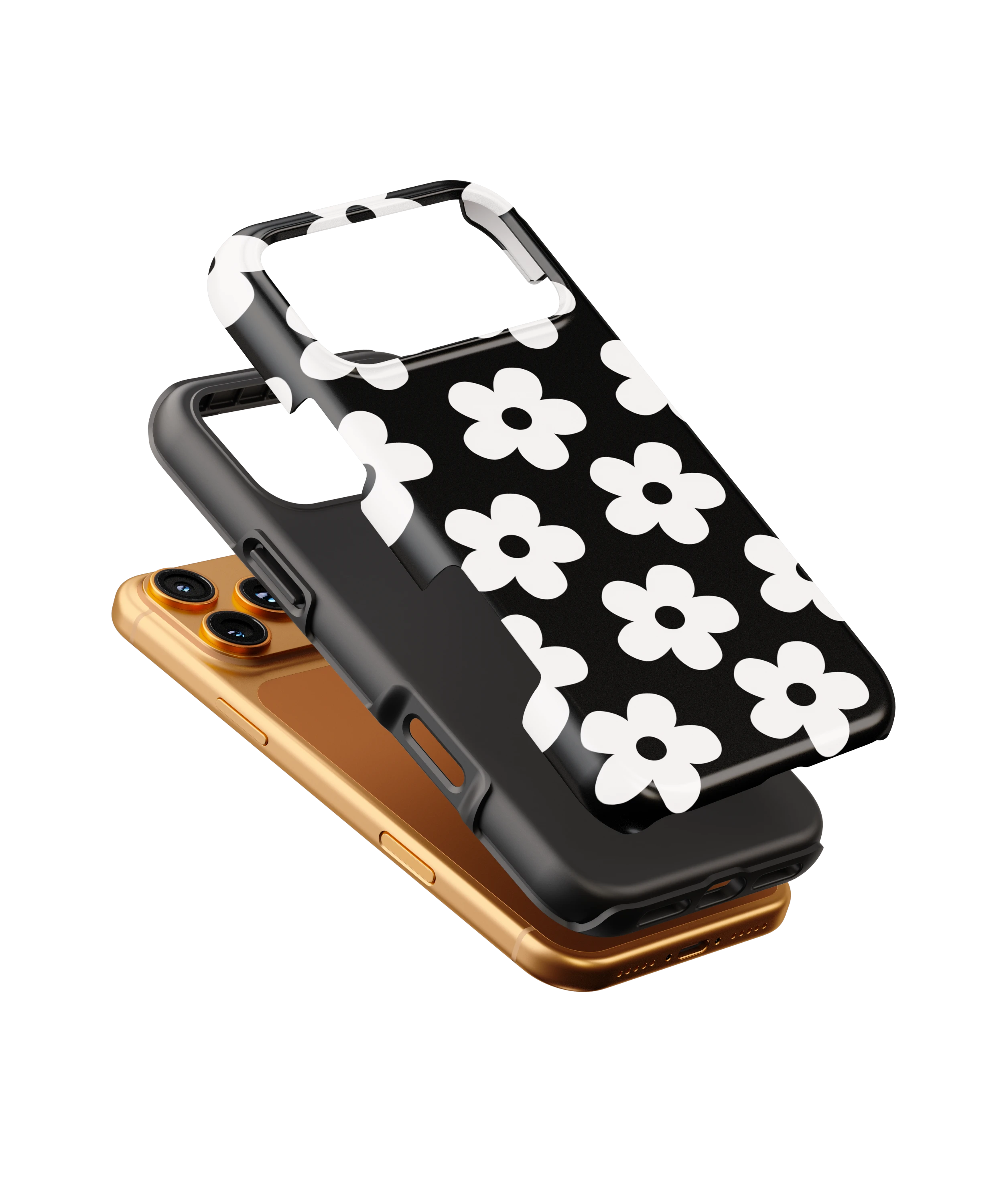 Noir Daisy